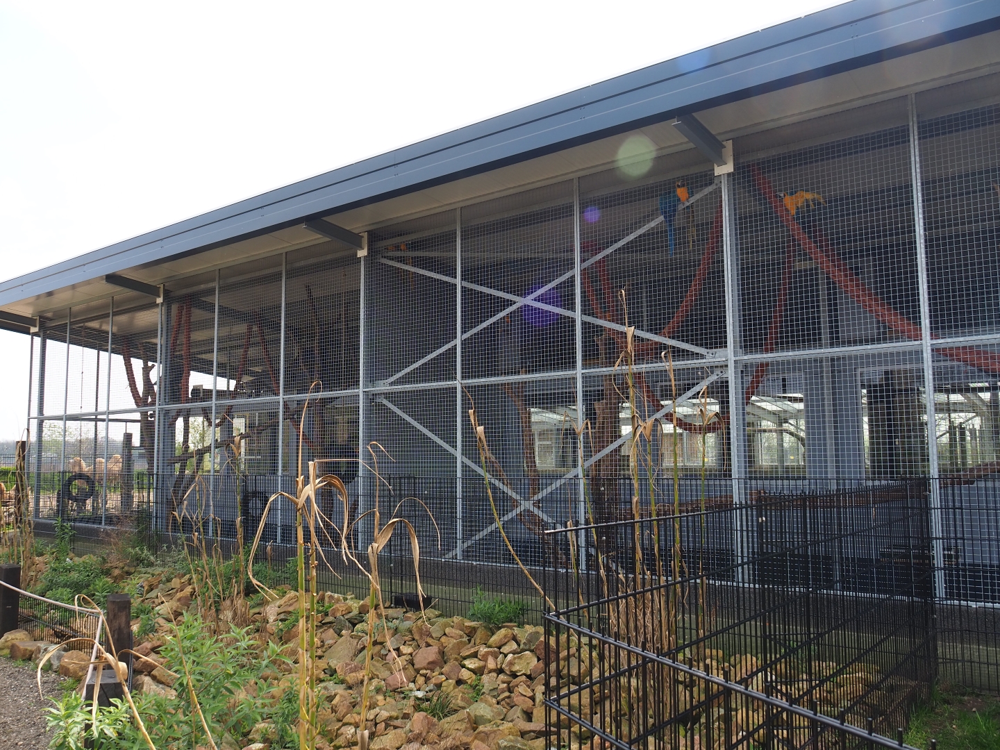 South America house, 2019-04-06