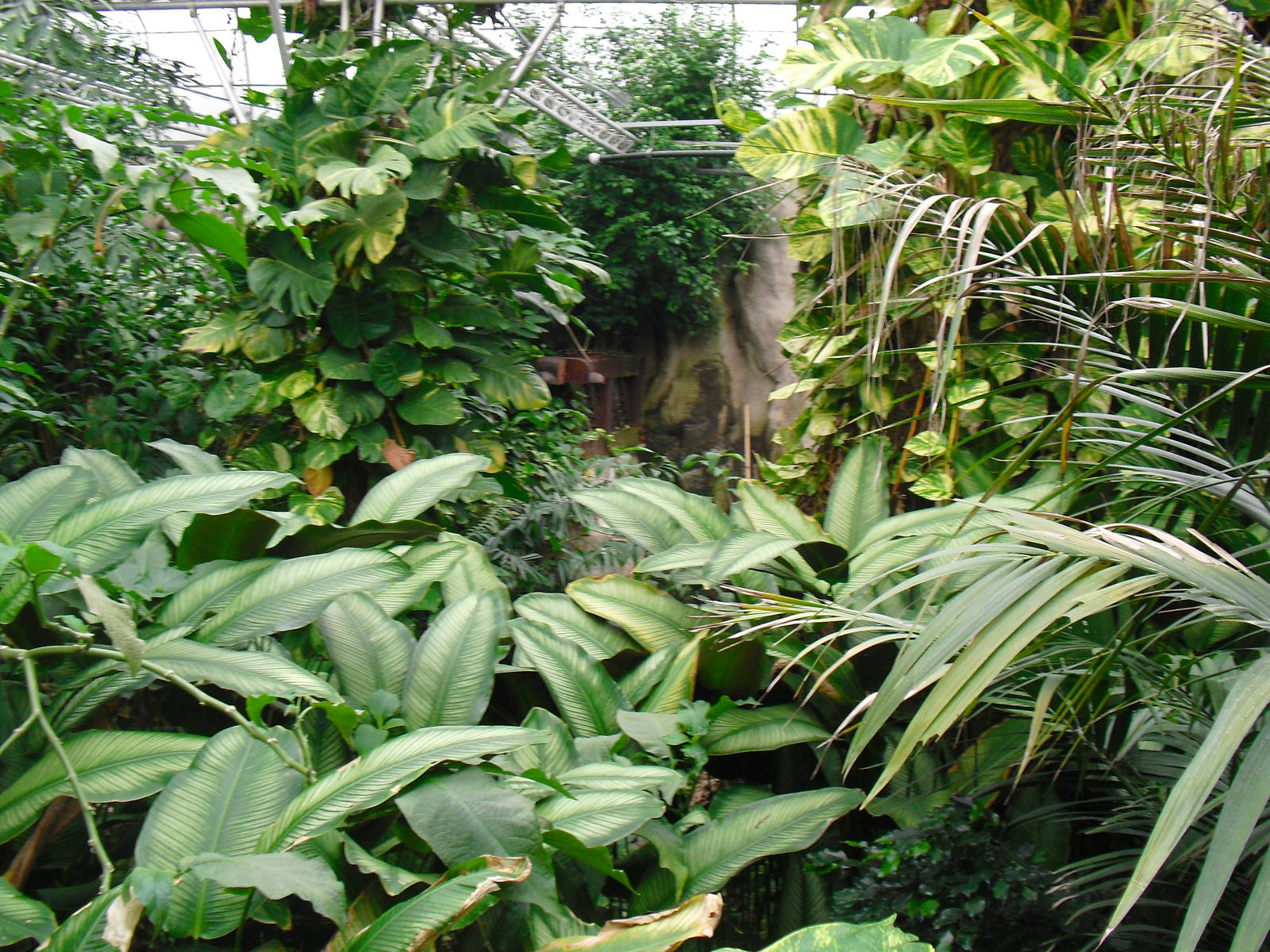 South America House - 27/10/2011