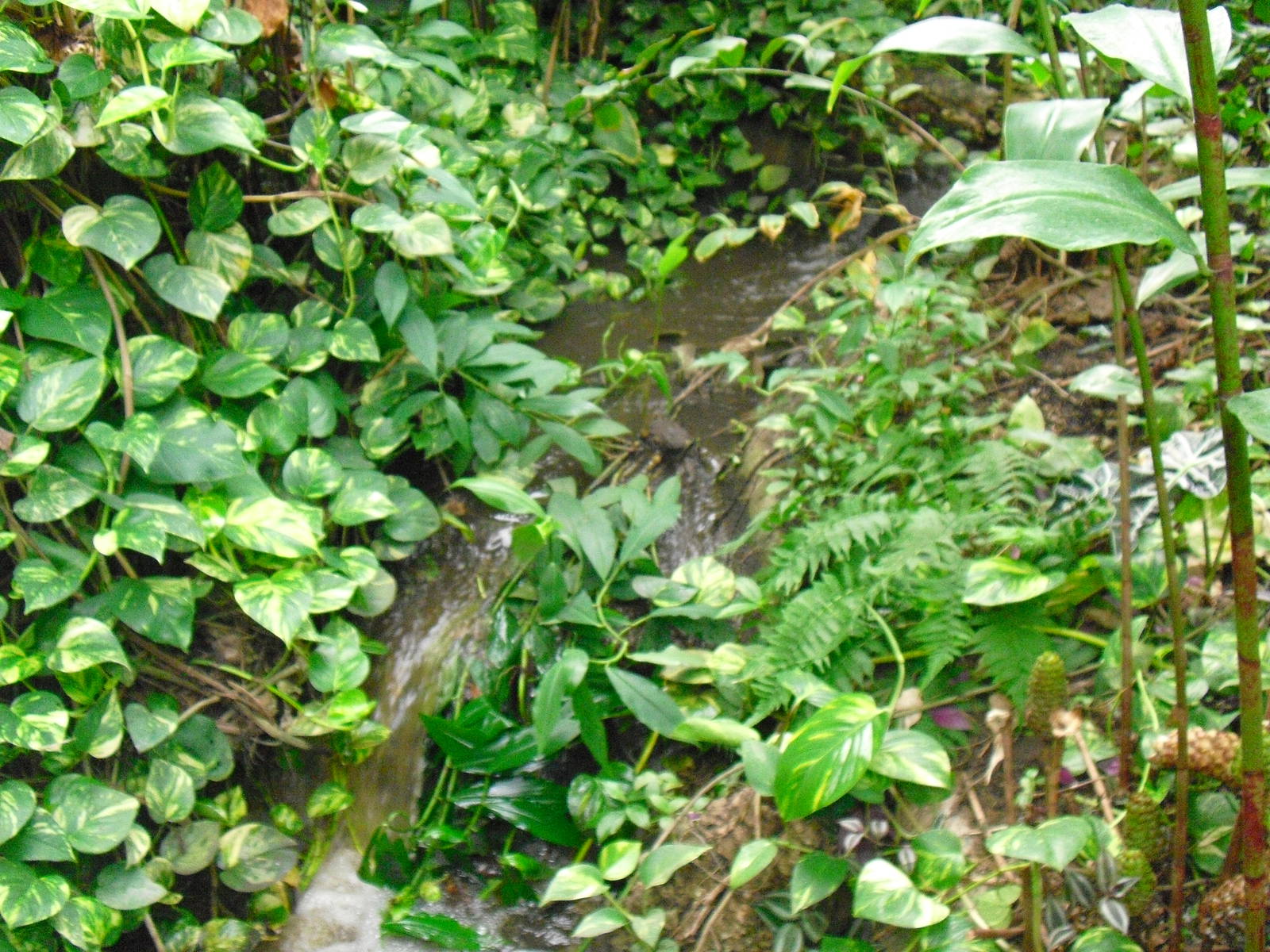 South America House - 27/10/2011