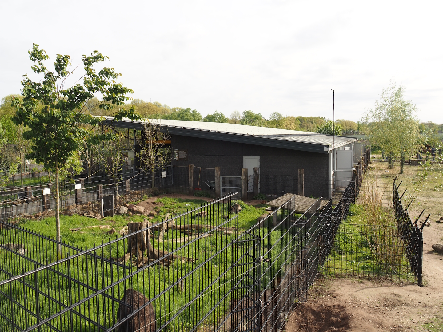 South America house and Giant anteater and Azara's agouti exhibit, 2024-04-14