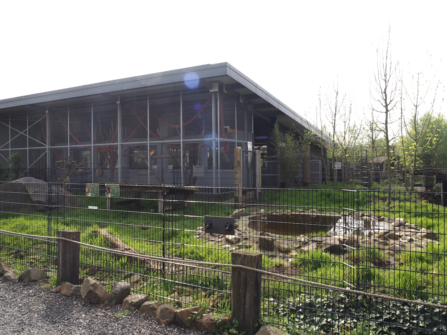 South America house and Giant anteater and Azara's agouti exhibit, 2024-04-14