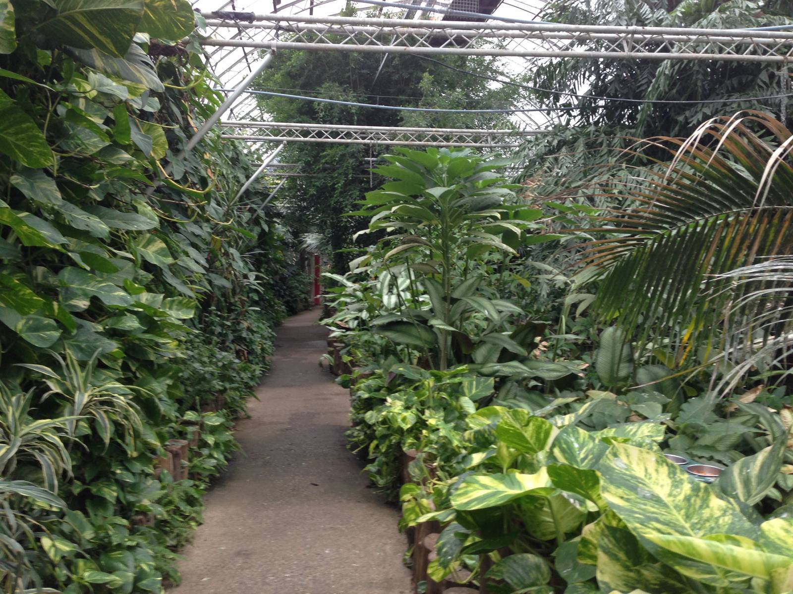 South America House at Tropical World - 02/10/2013