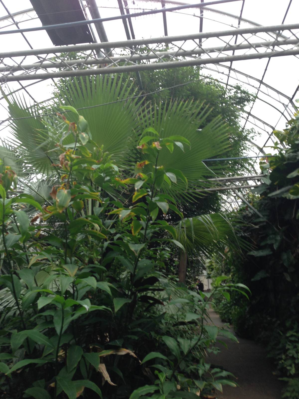 South America House at Tropical World - 02/10/2013