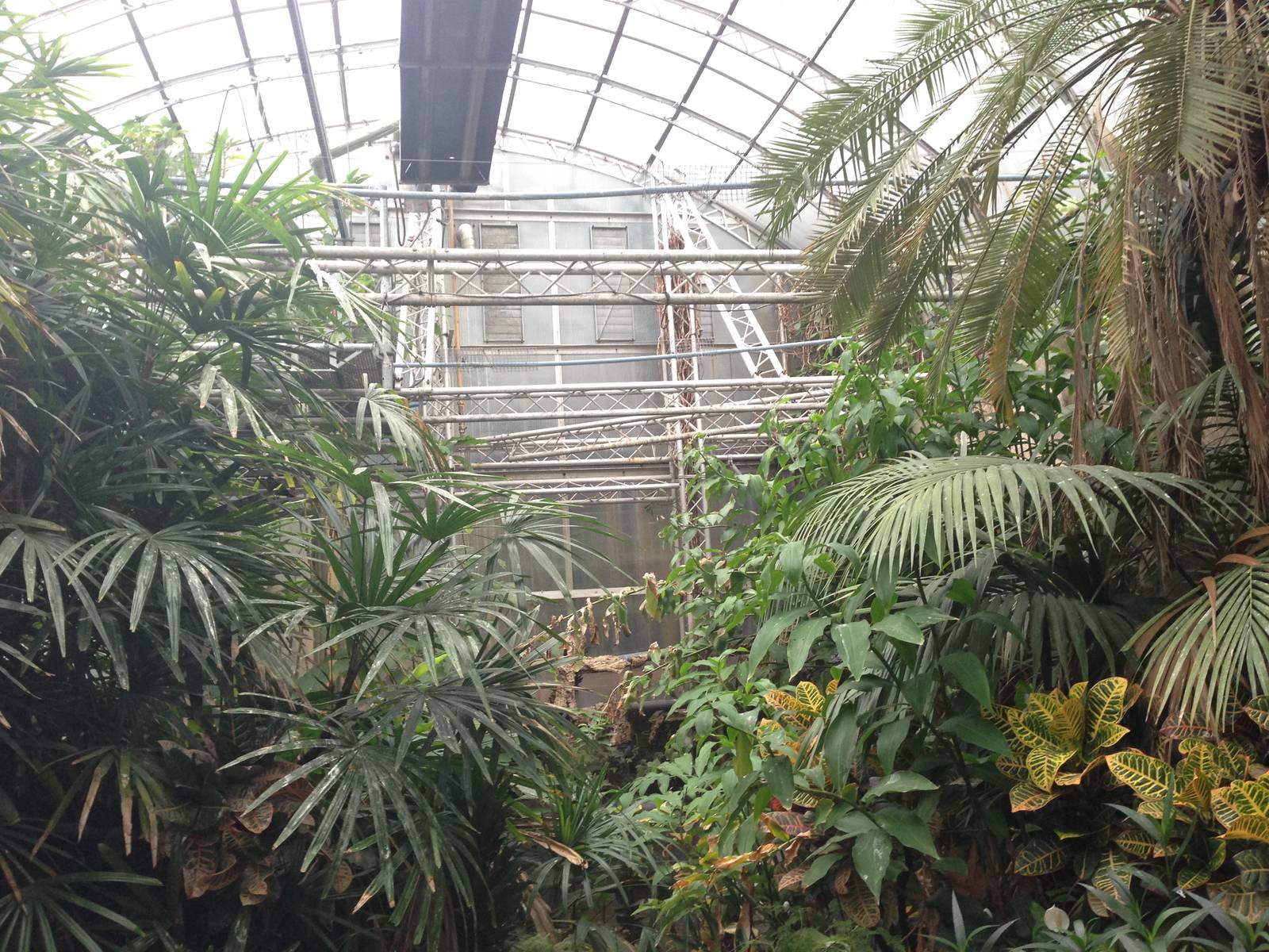 South America House at Tropical World - 02/10/2013