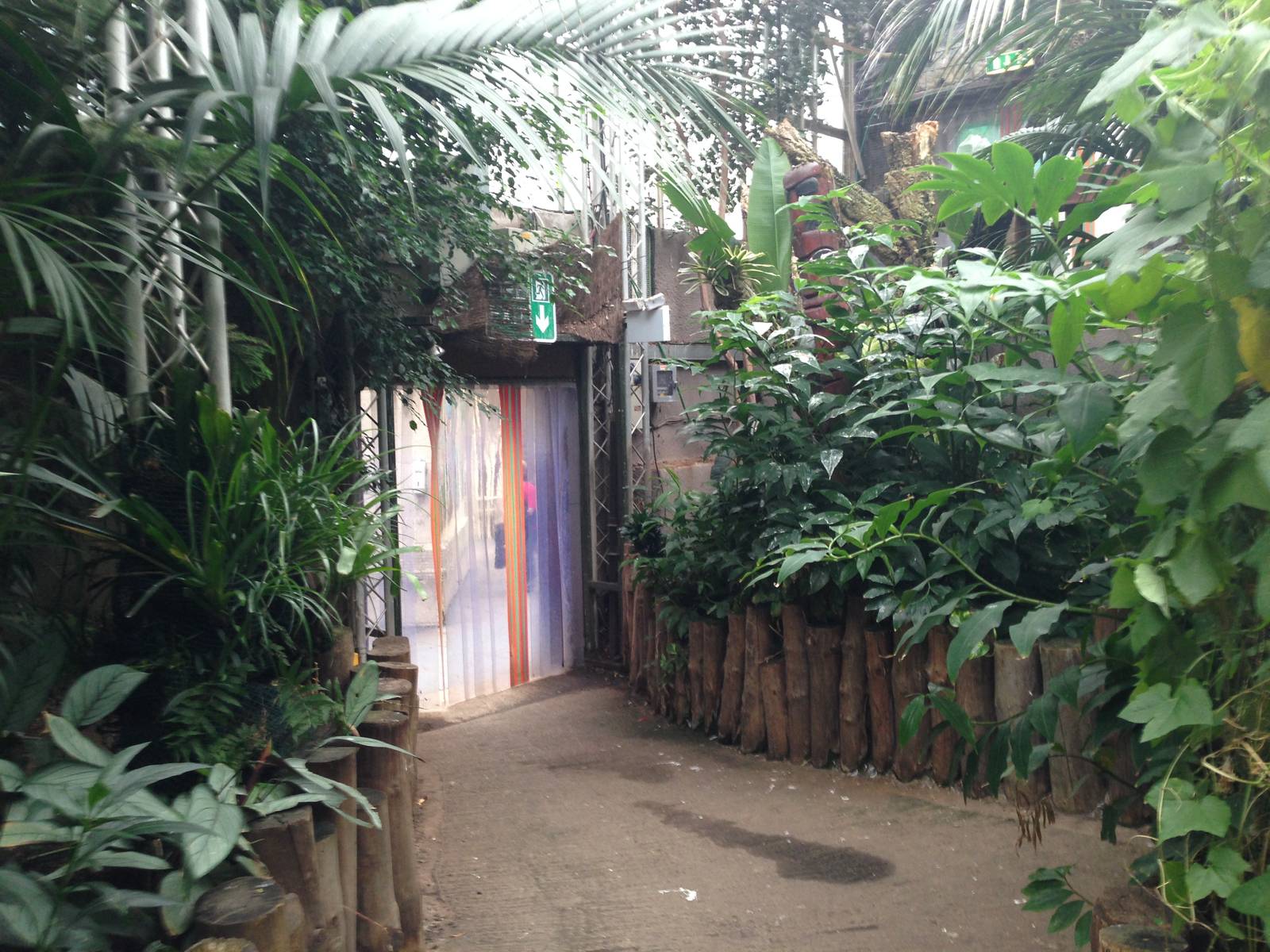 South America House at Tropical World - 02/10/2013