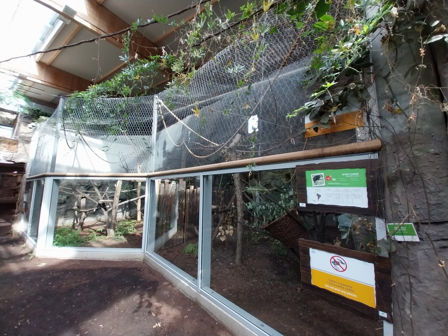 South America House - Black Howler Monkey (Alouatta caraya)