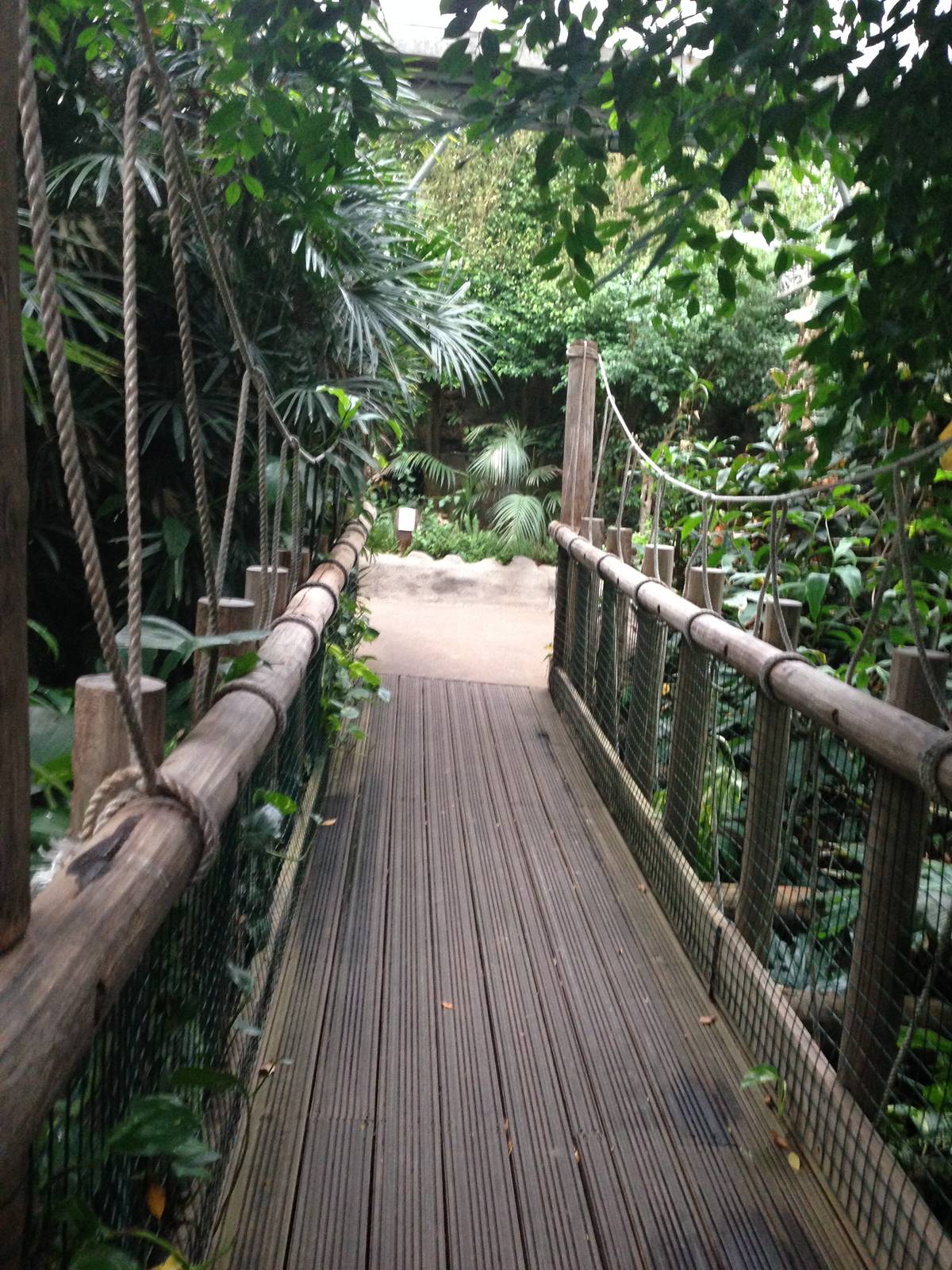 South America House Bridge at Tropical World - 02/10/2013