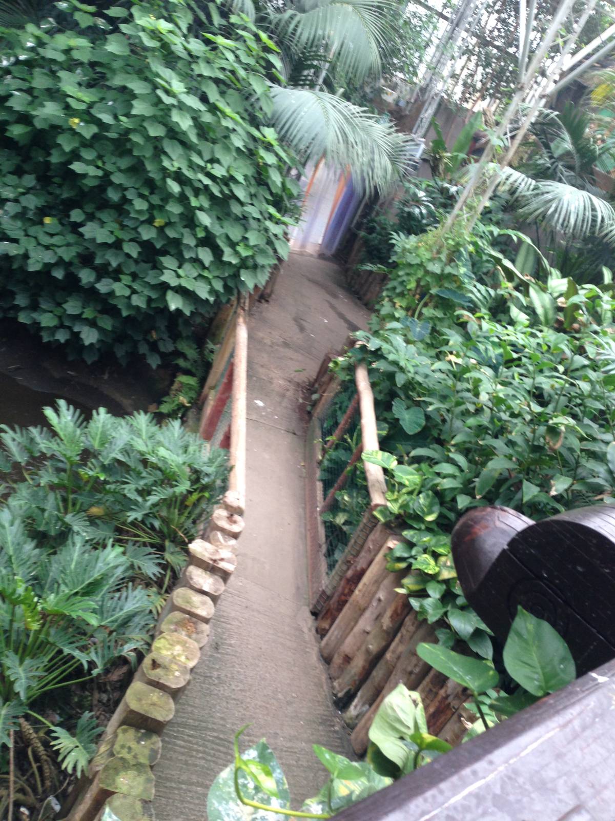 South America House Bridge at Tropical World - 02/10/2013