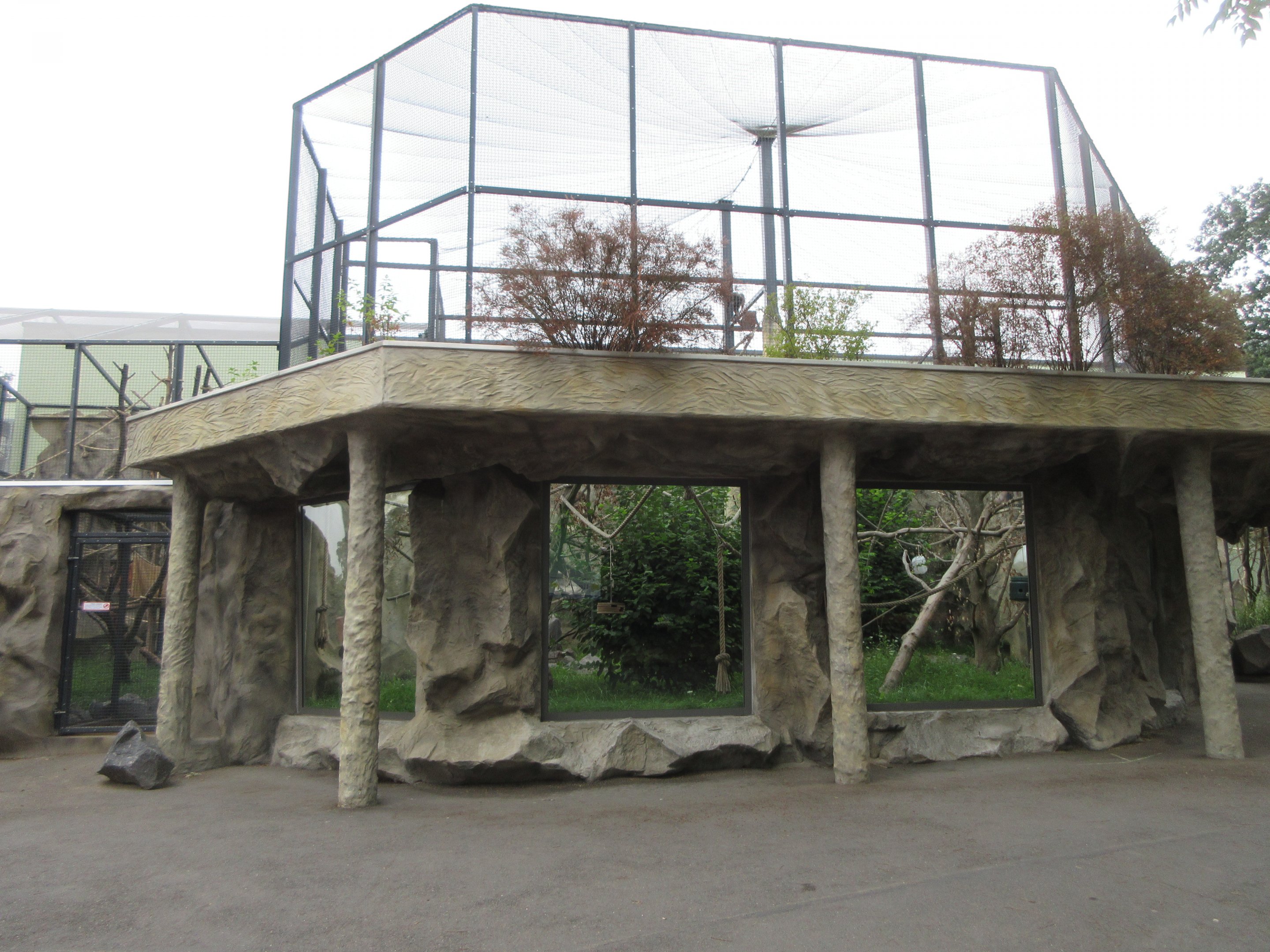 South America House - Brown Spider Monkey Exhibit