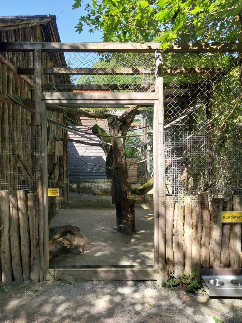 South America House - Buffon's macaw aviary