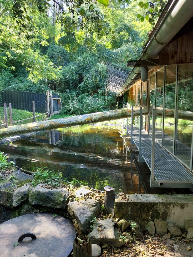 South America House - Coati access point