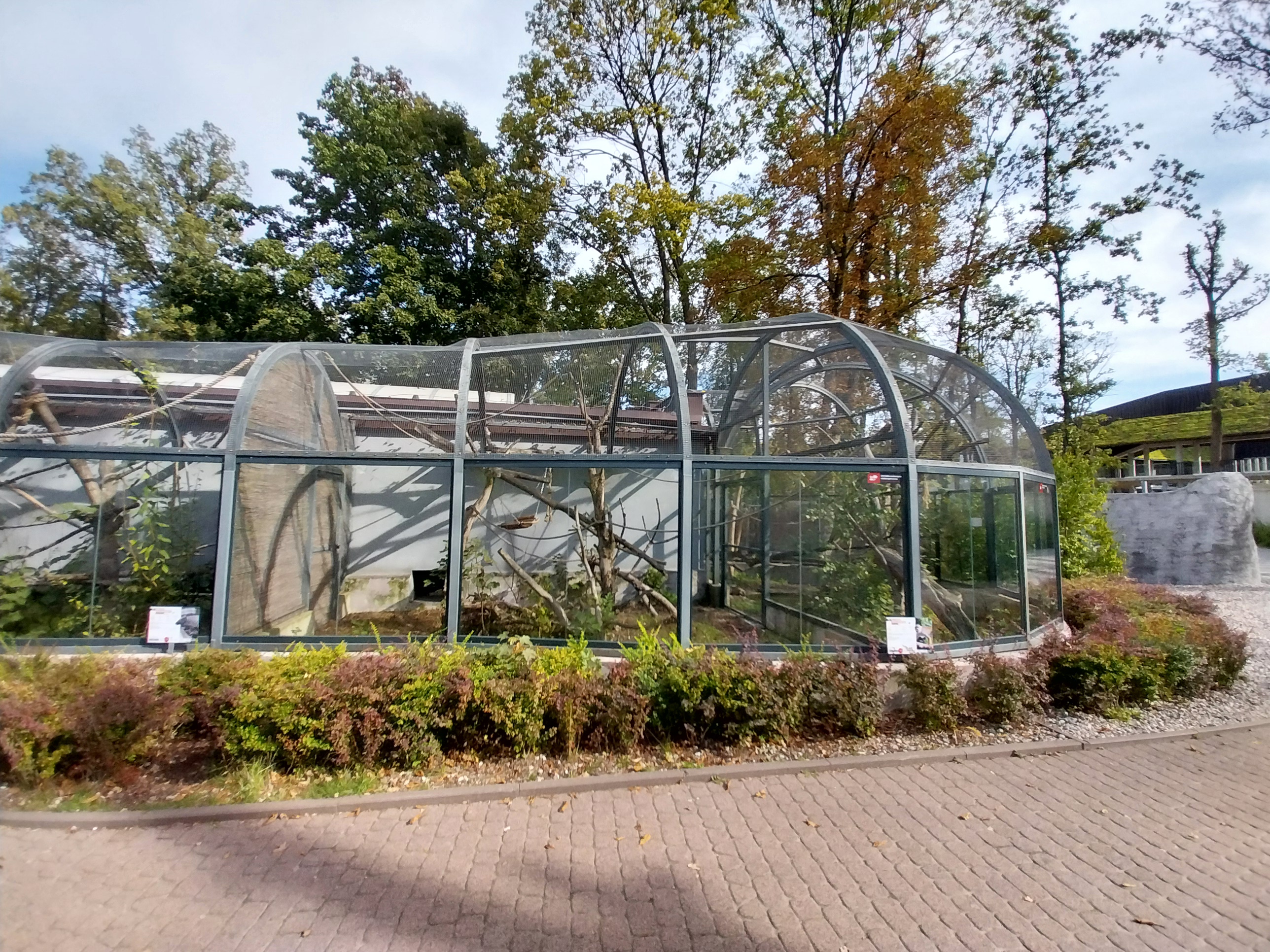 South-America House - Common Squirrel Monkey (Saimiri sciureus)