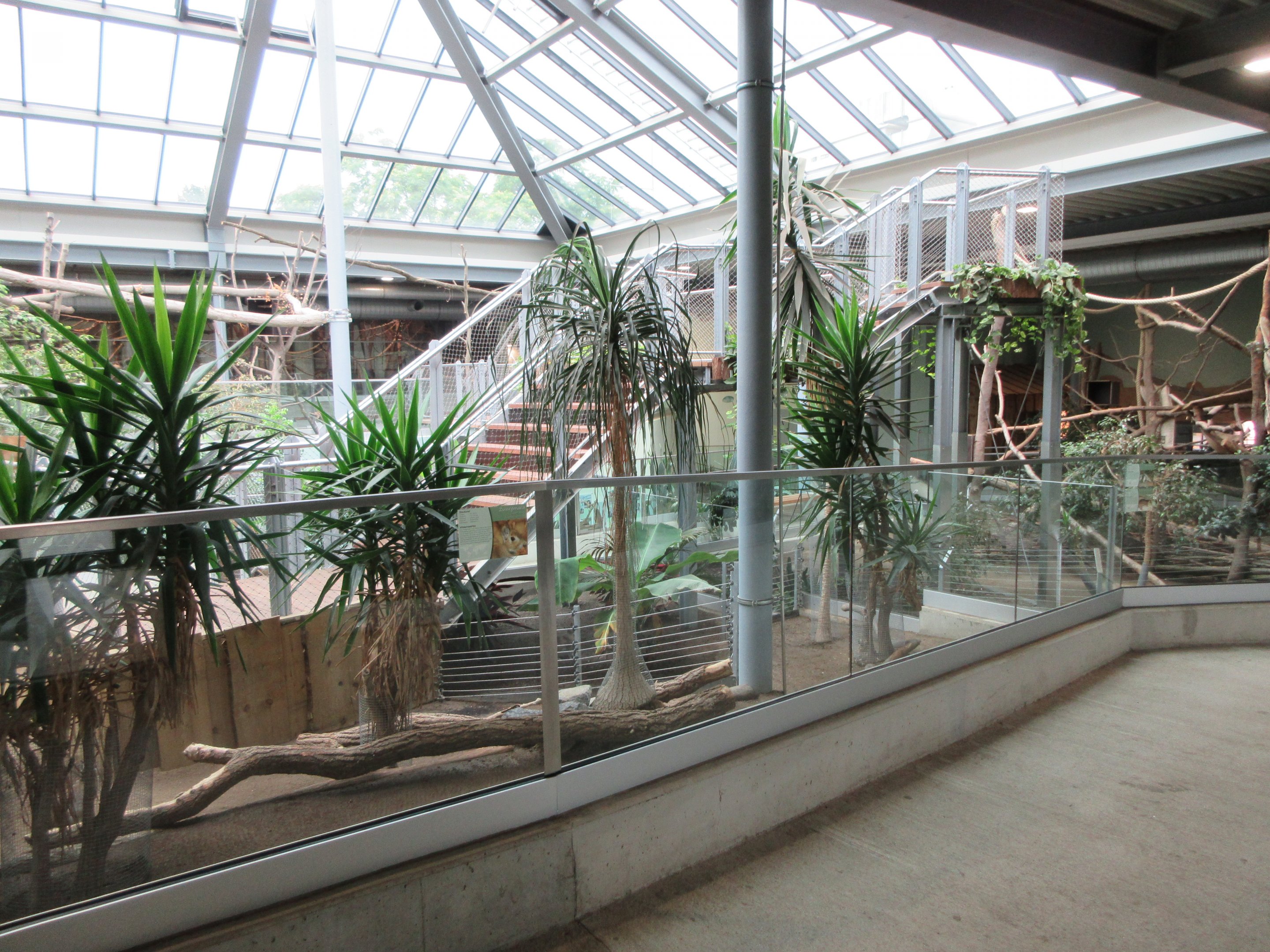 South America House - Dwarf Mara Exhibit