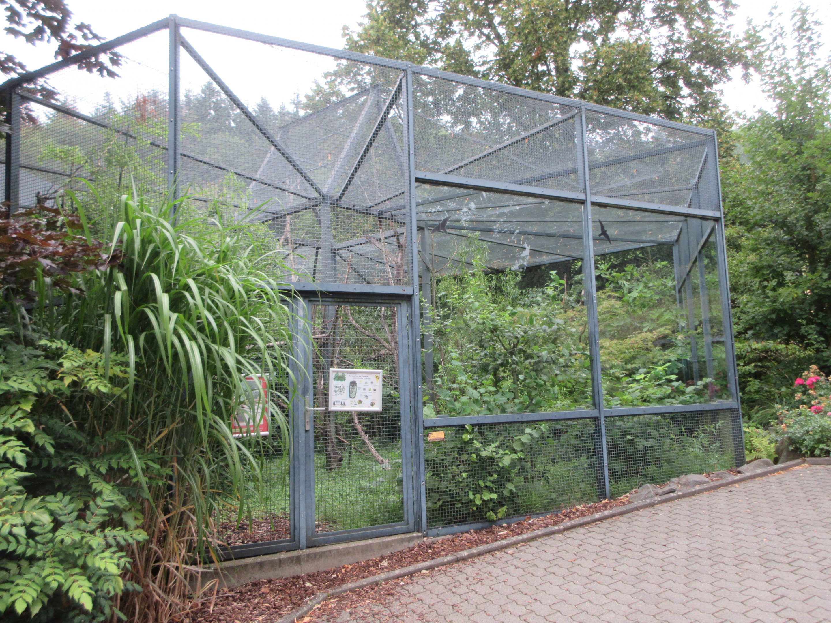 South America House - Emperor Tamarin Exhibit