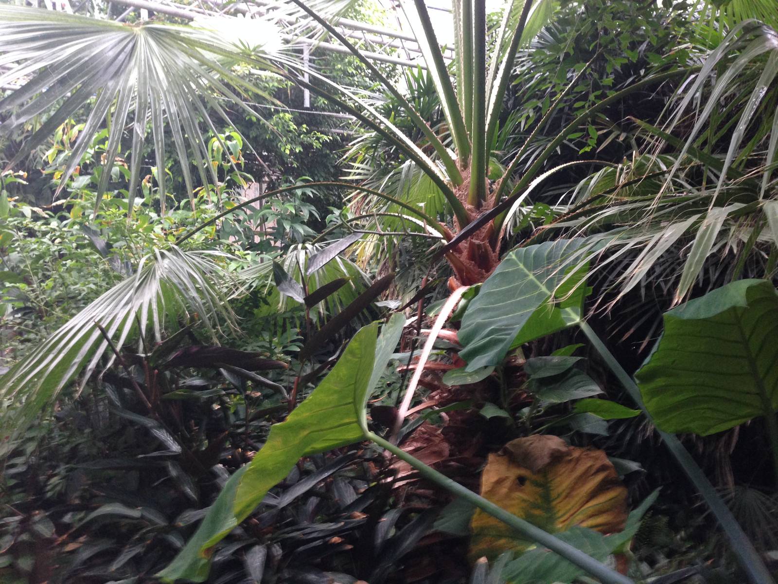 South America House General View at Tropical World - 02/10/2013