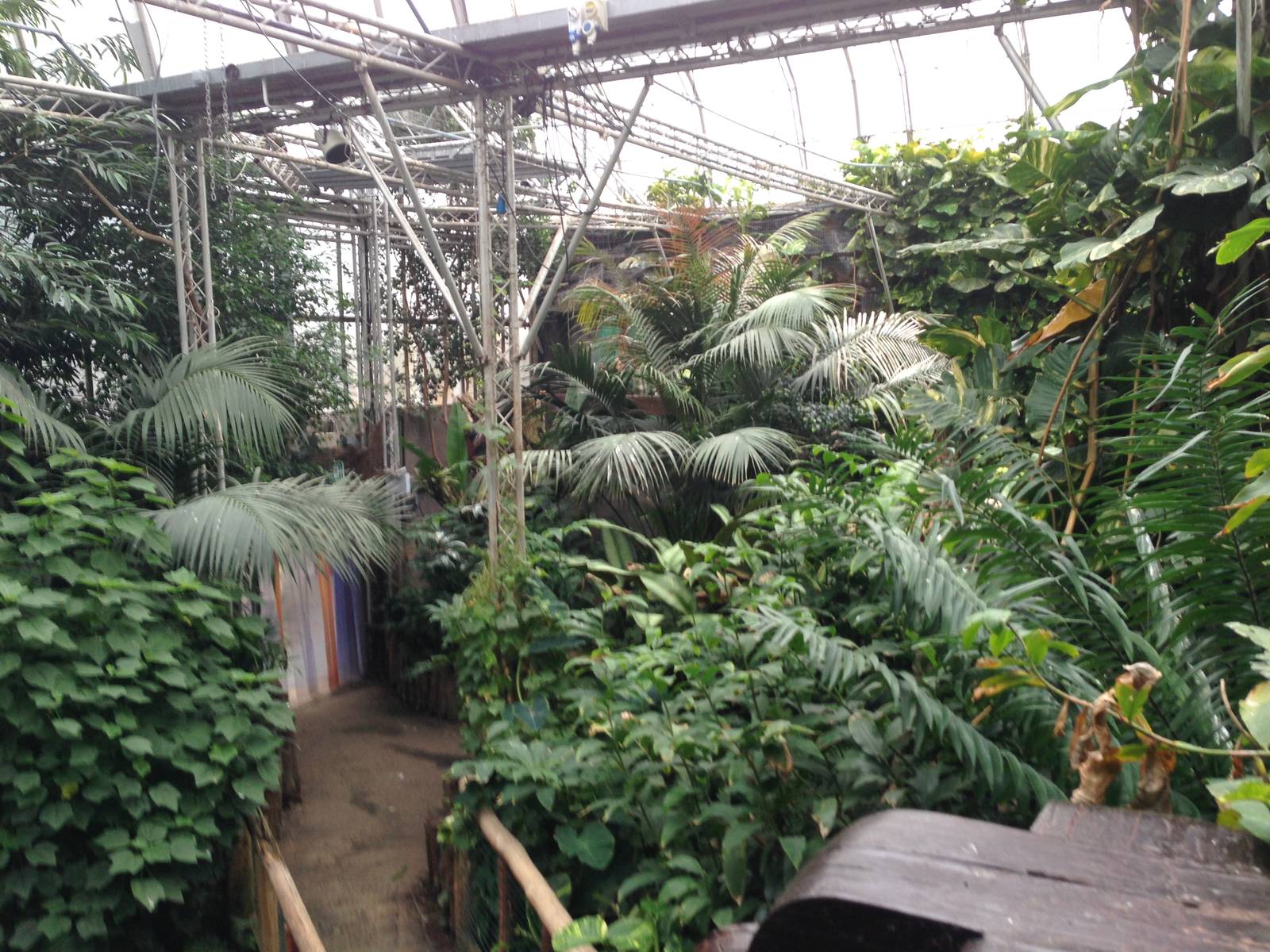 South America House General View at Tropical World - 02/10/2013