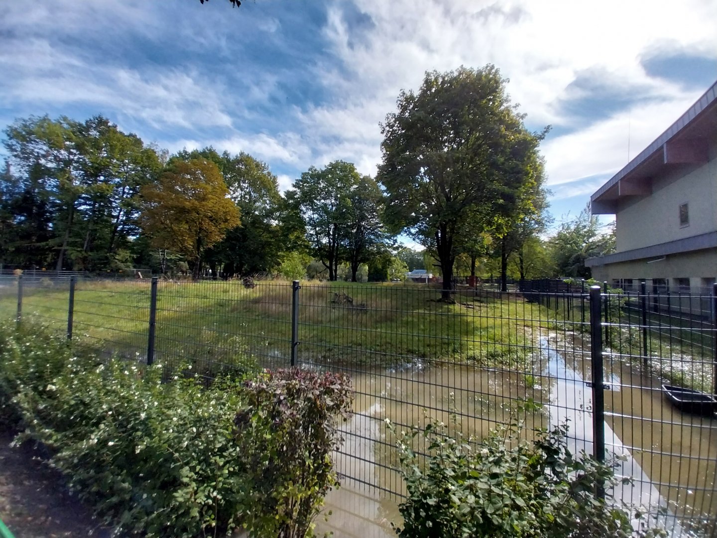 South America House - Giant Anteater enclosure