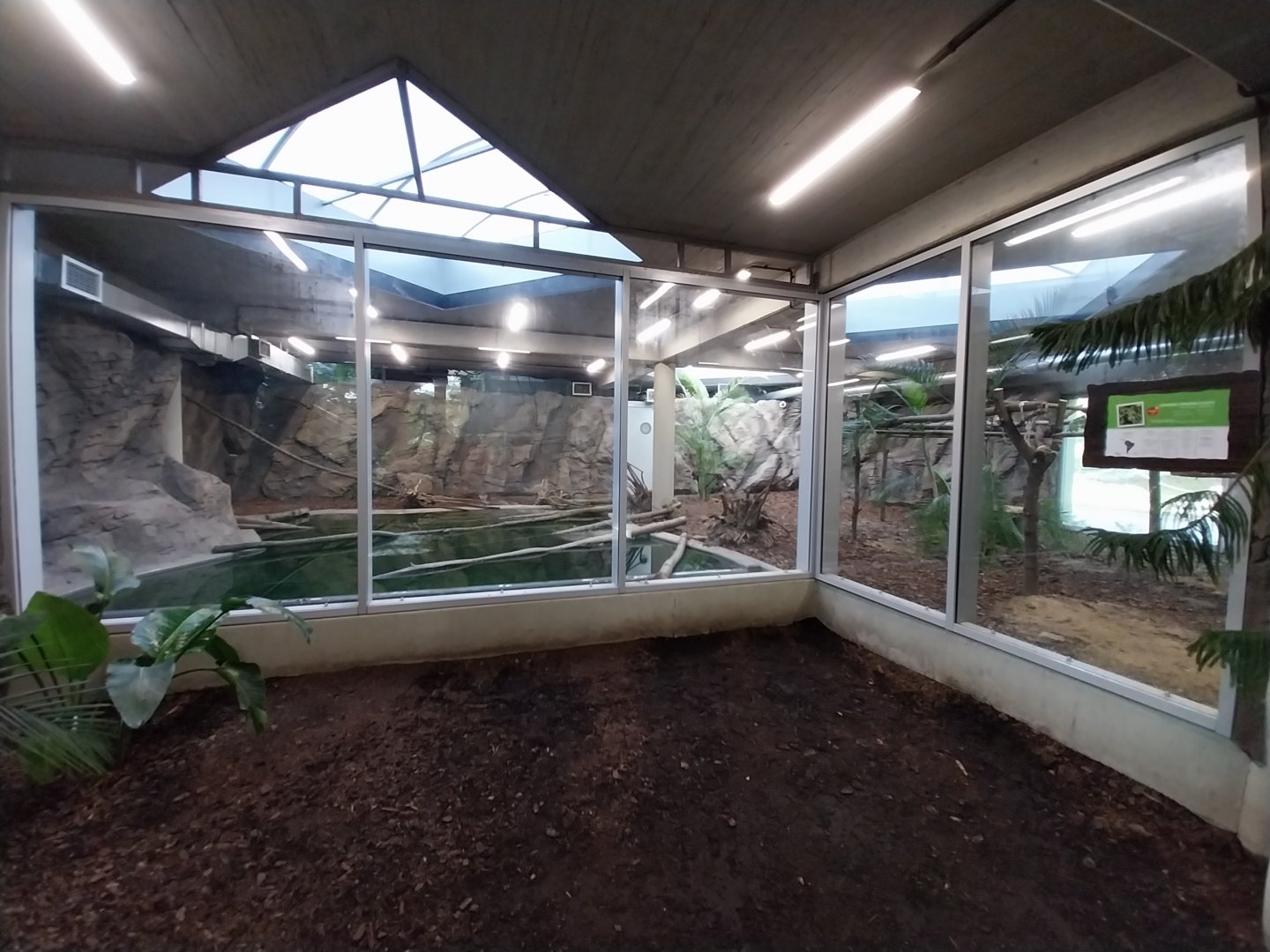 South America House - Giant River Otter exhibit (empty)