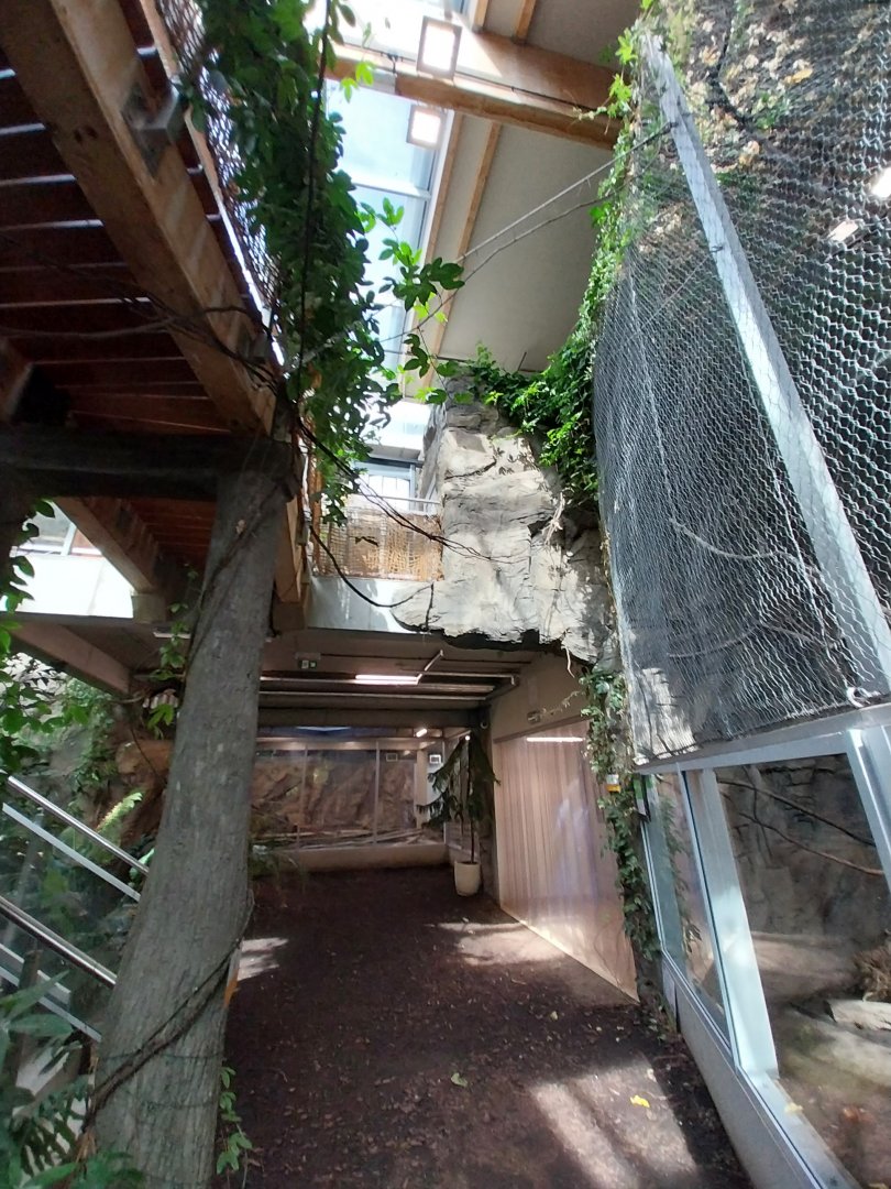 South America House - Giant River Otter exhibit (empty)