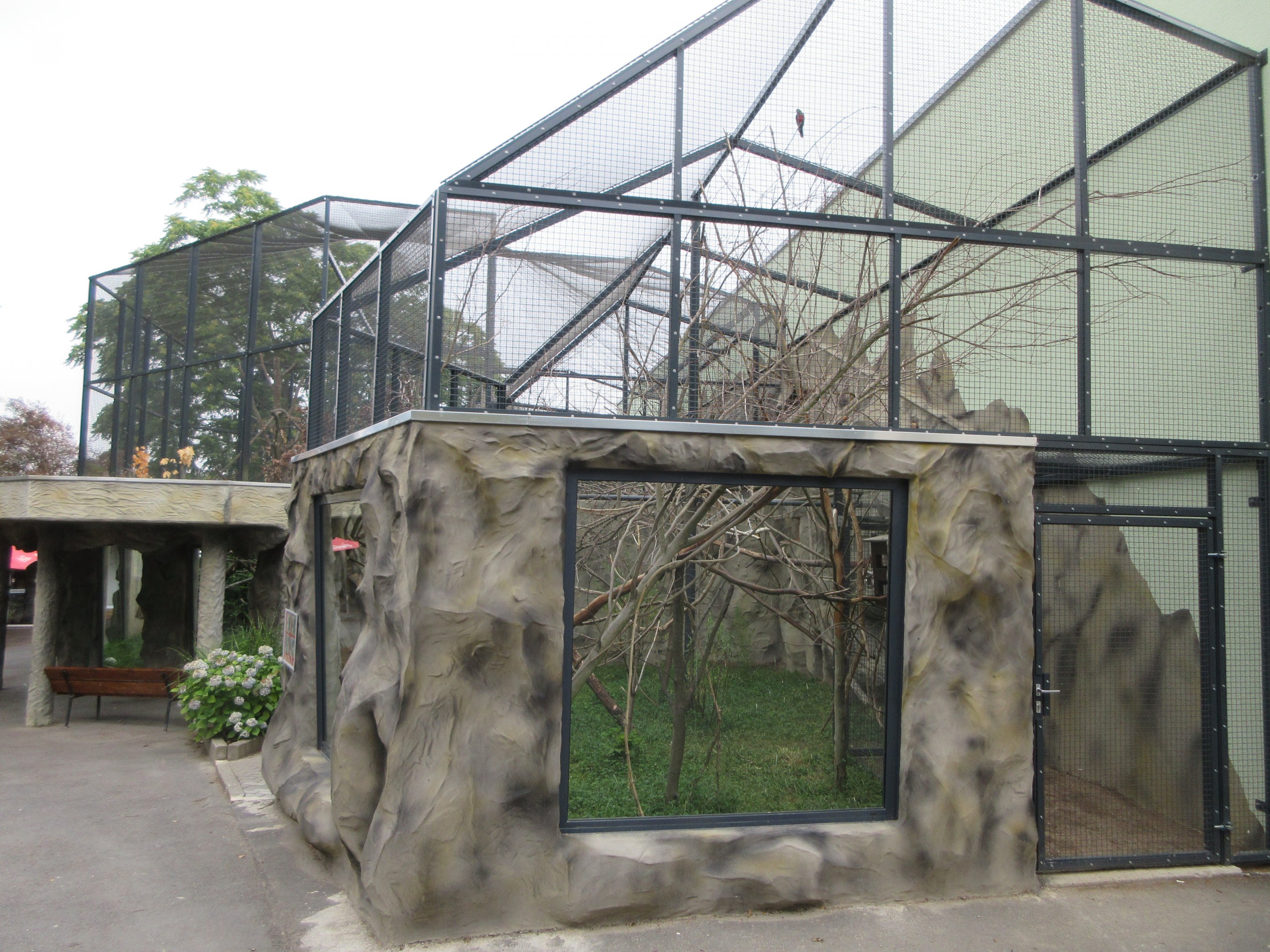 South America House - Goeldi's Monkey/Emperor Tamarin Exhibit