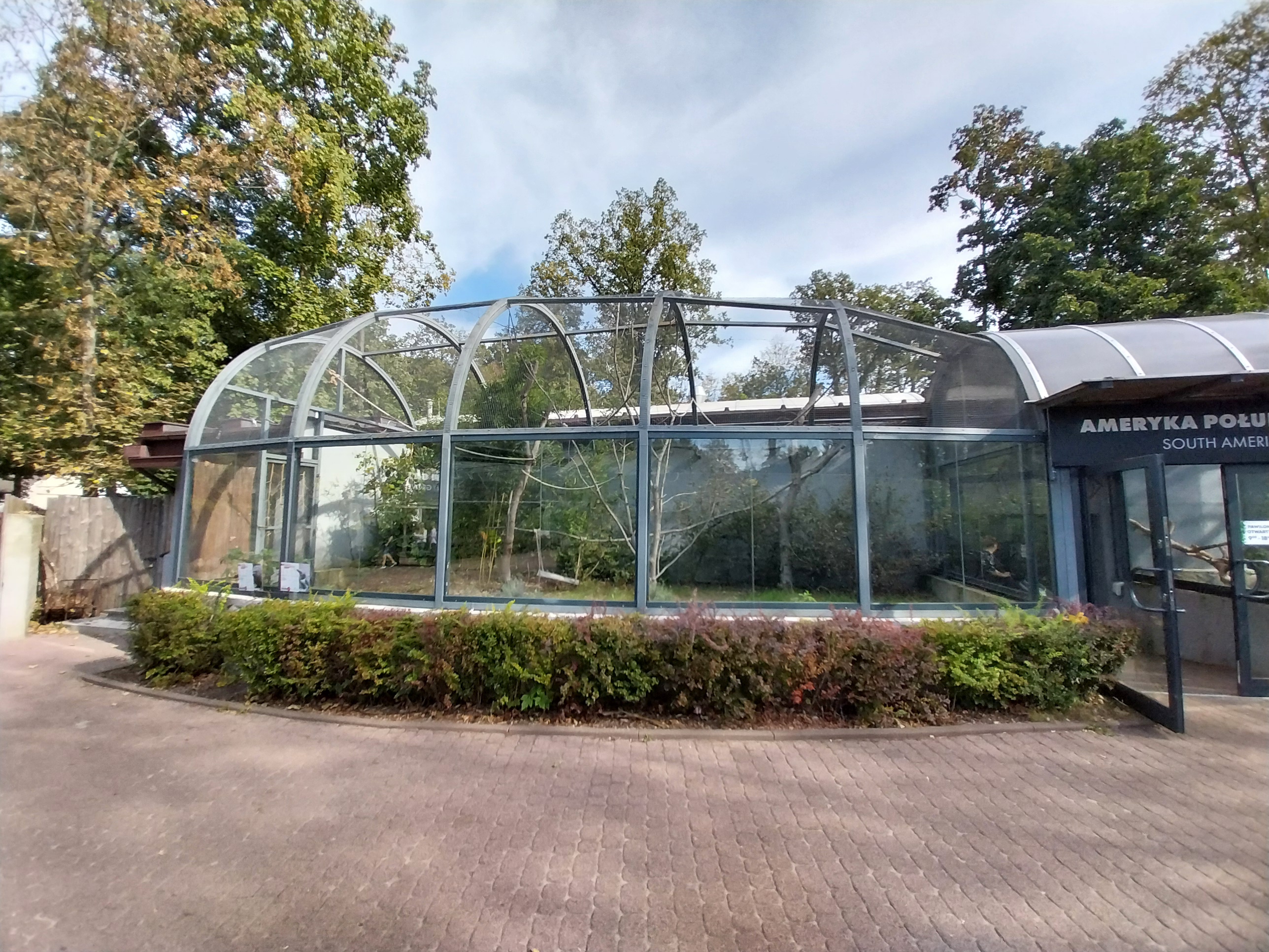 South-America House - Green Aracari (Pteroglossus viridis) and Brazilian Porcupine (Coendou prehensilis)