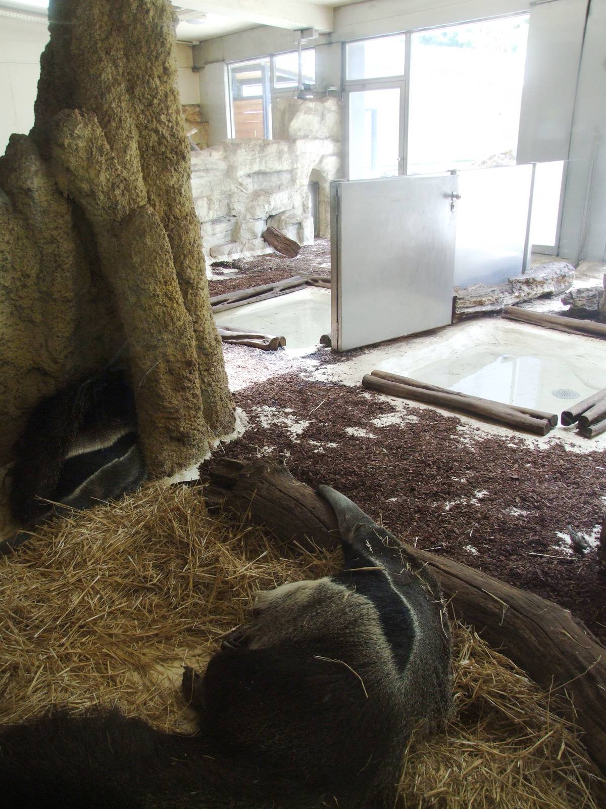 South America House Interior at Vienna, 14/06/13