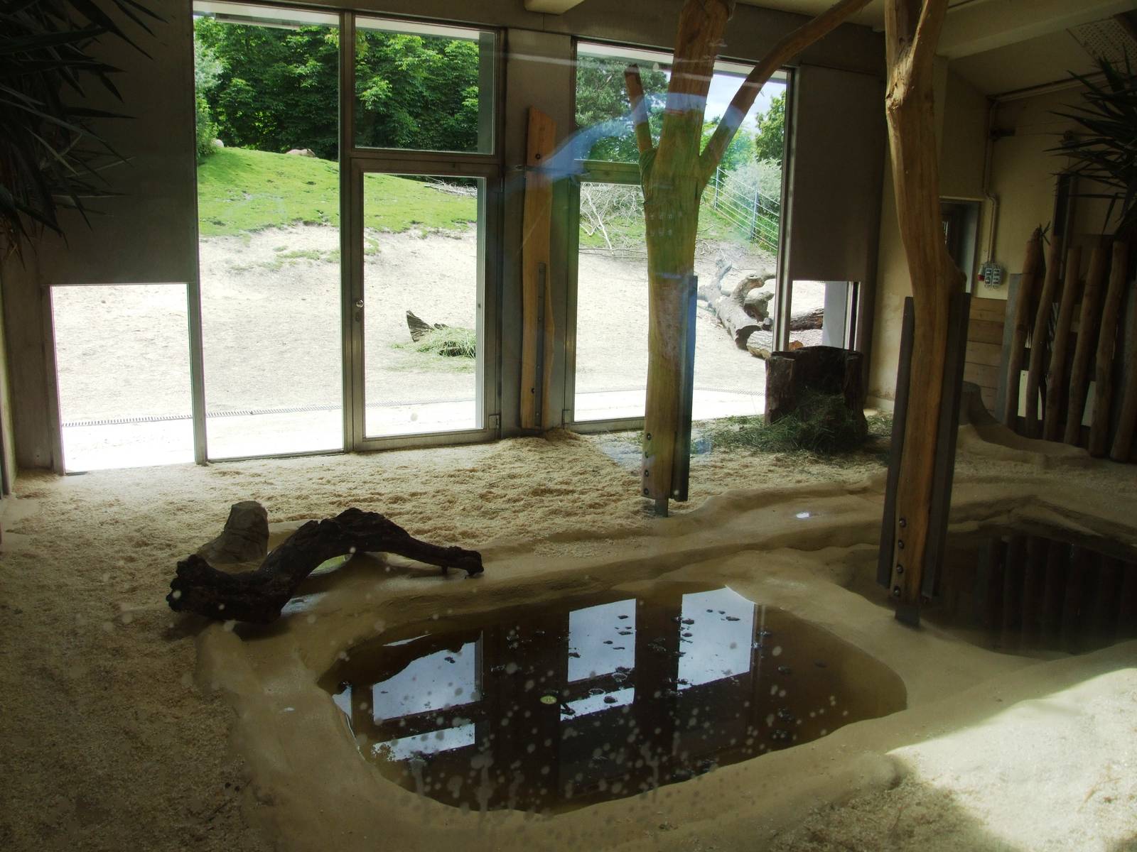 South America House Interior at Vienna, 14/06/13