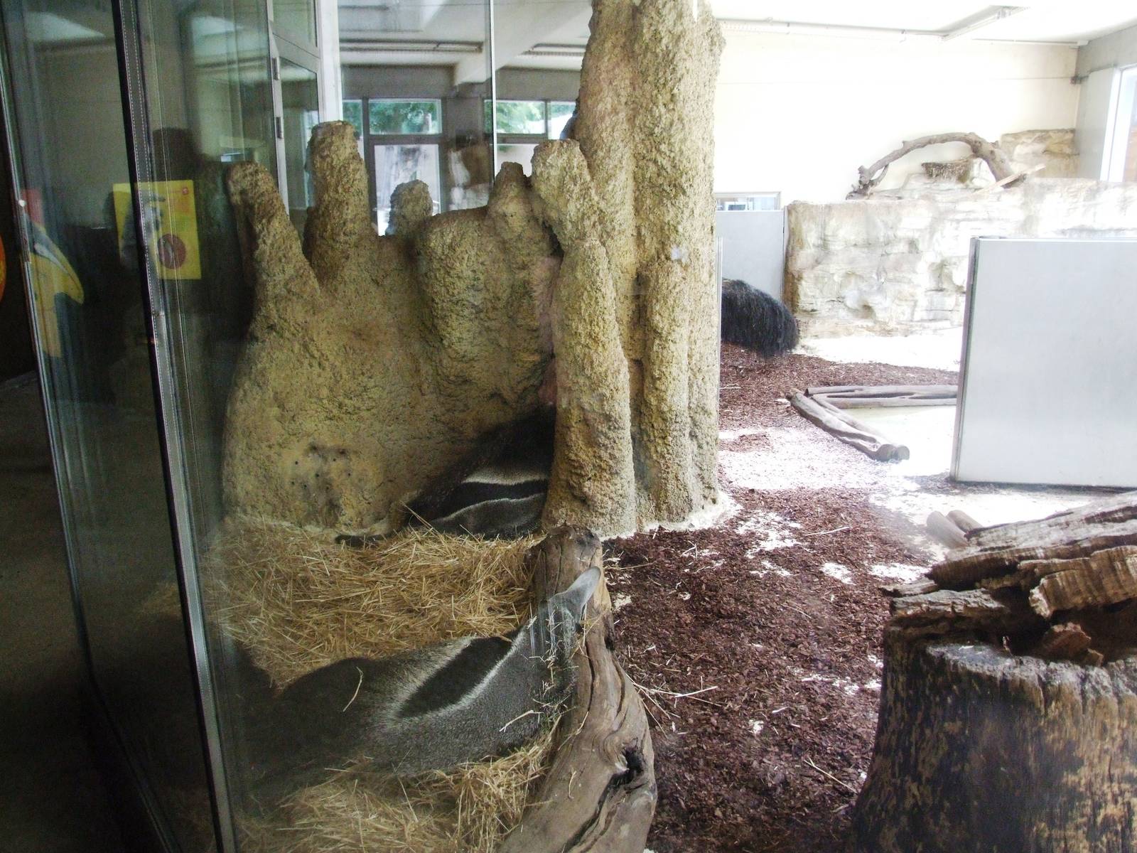 South America House Interior at Vienna, 14/06/13