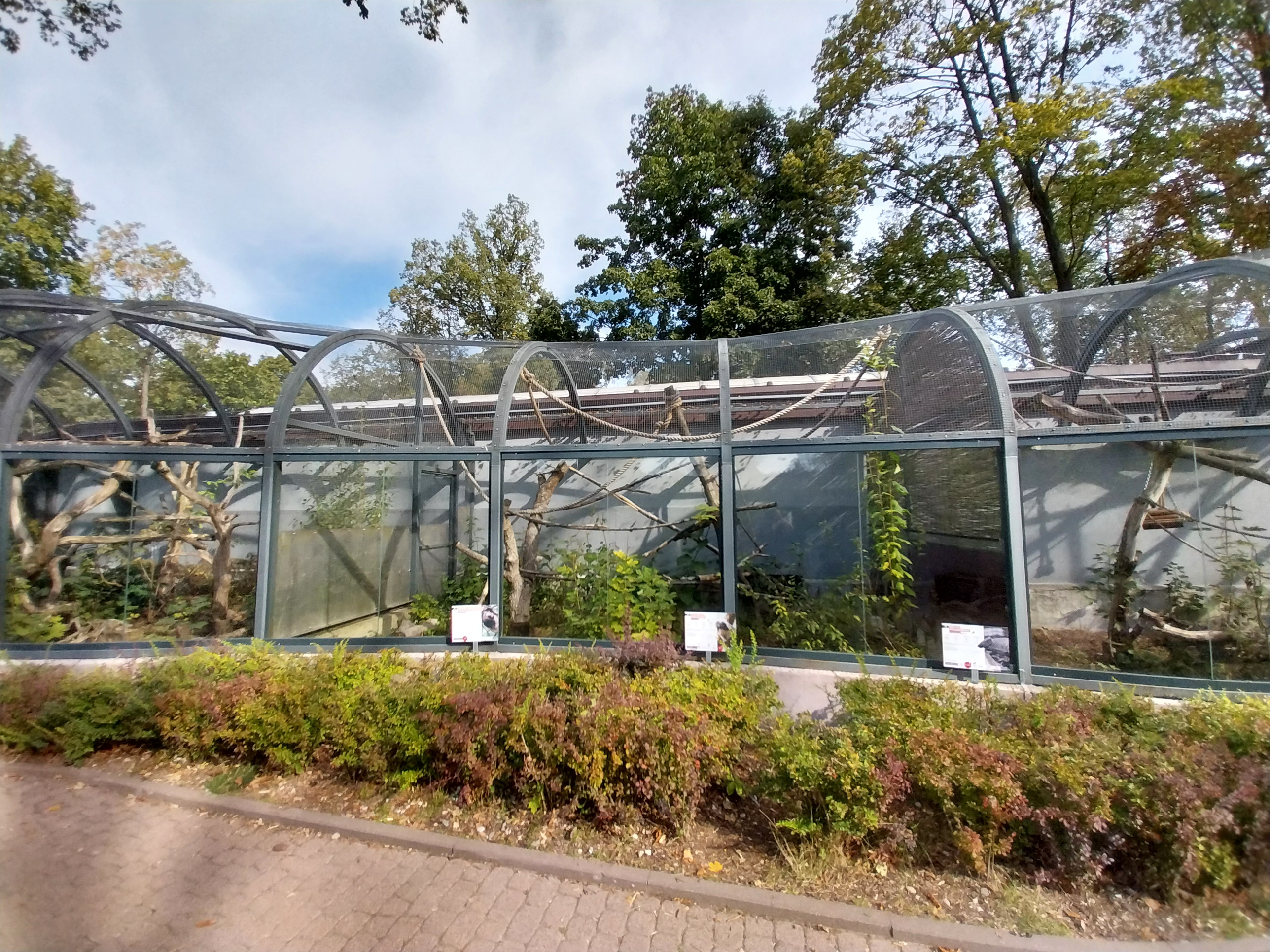 South-America House - Lineeaus Two-toed Sloth, Cotton-top Tamarin and Southern Three-banded armadillo
