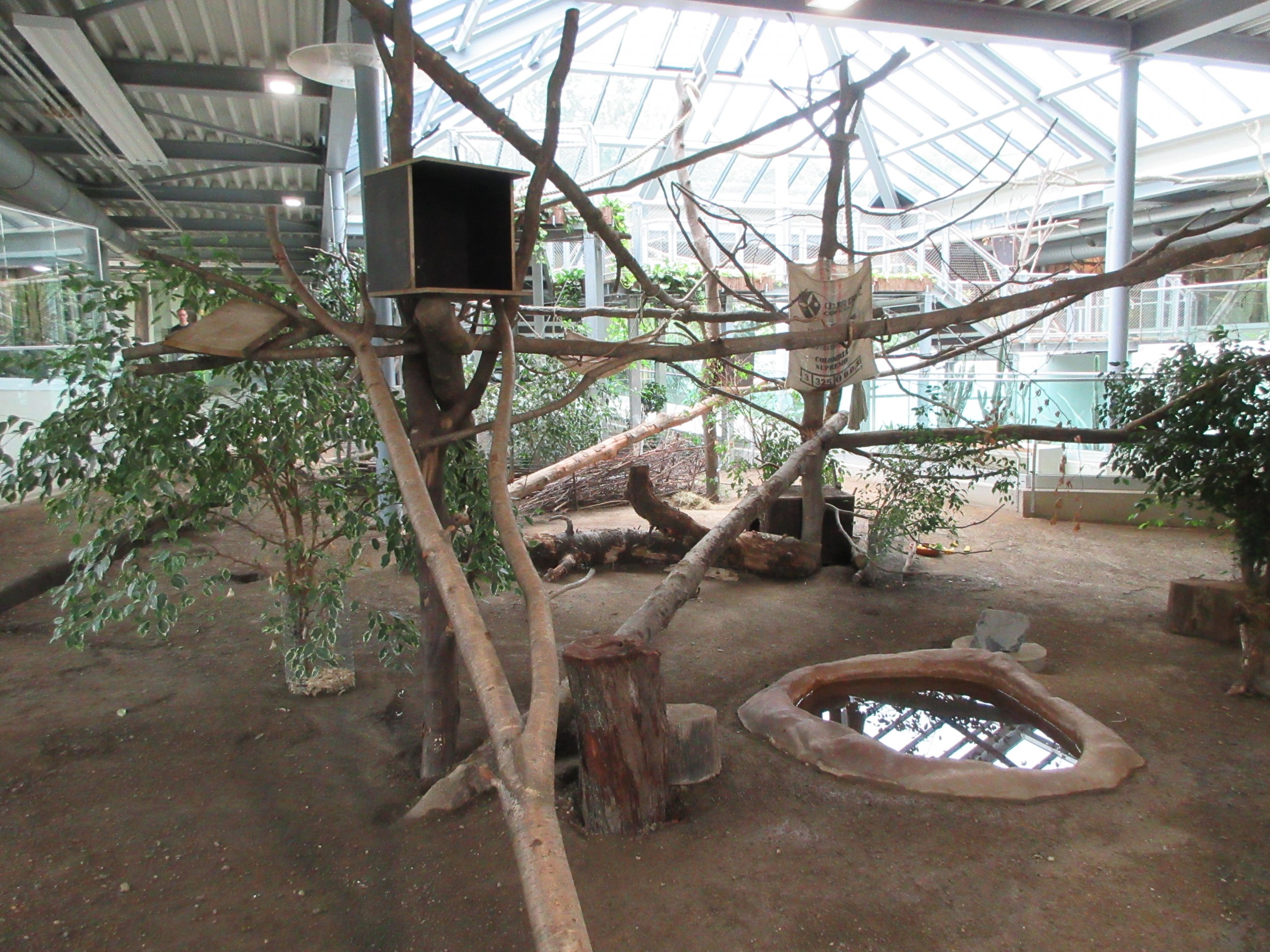South America House - Lowland Paca/Southern Tamandua Exhibit