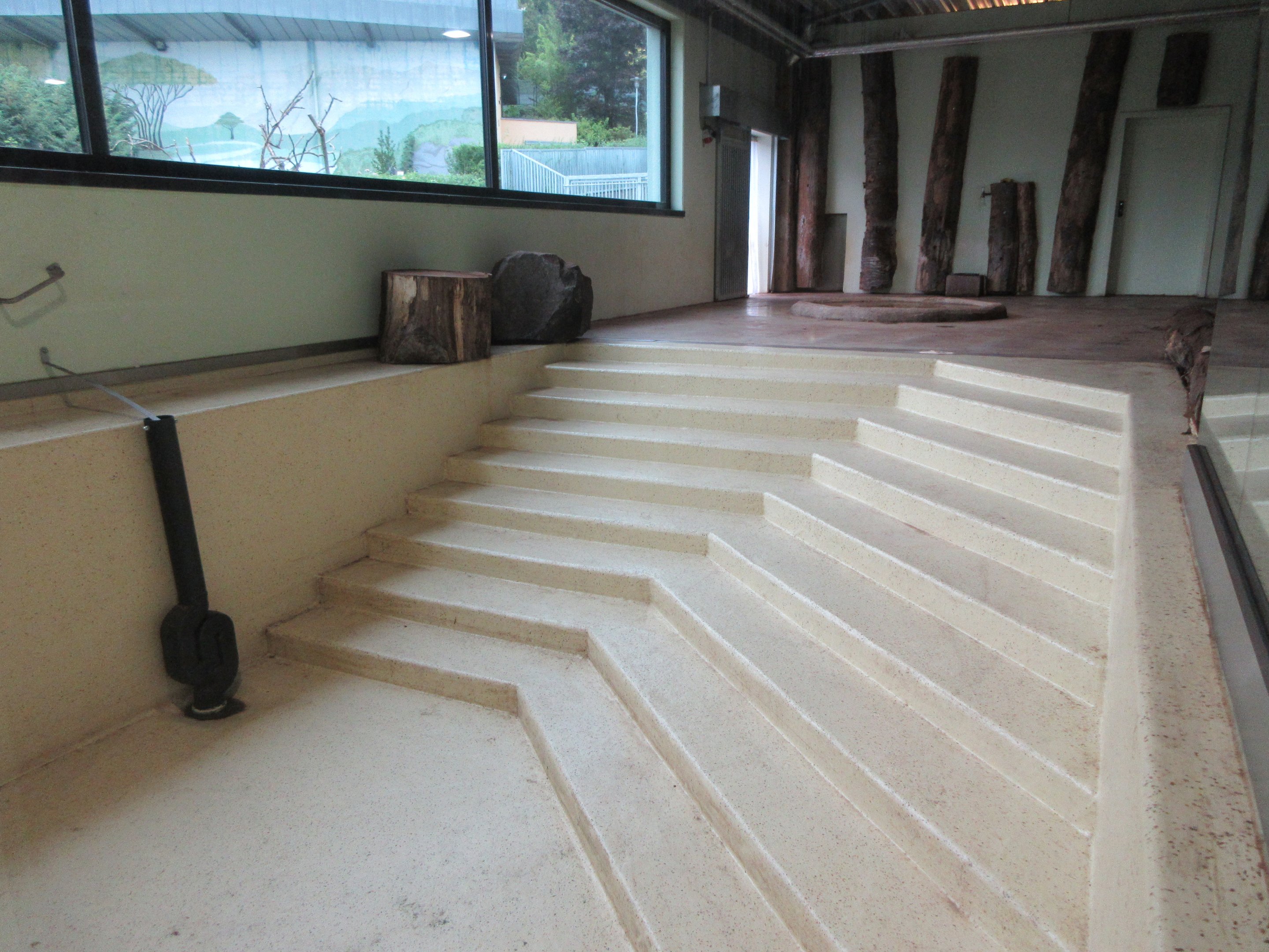 South America House - Lowland Tapir Exhibit (drained pool)
