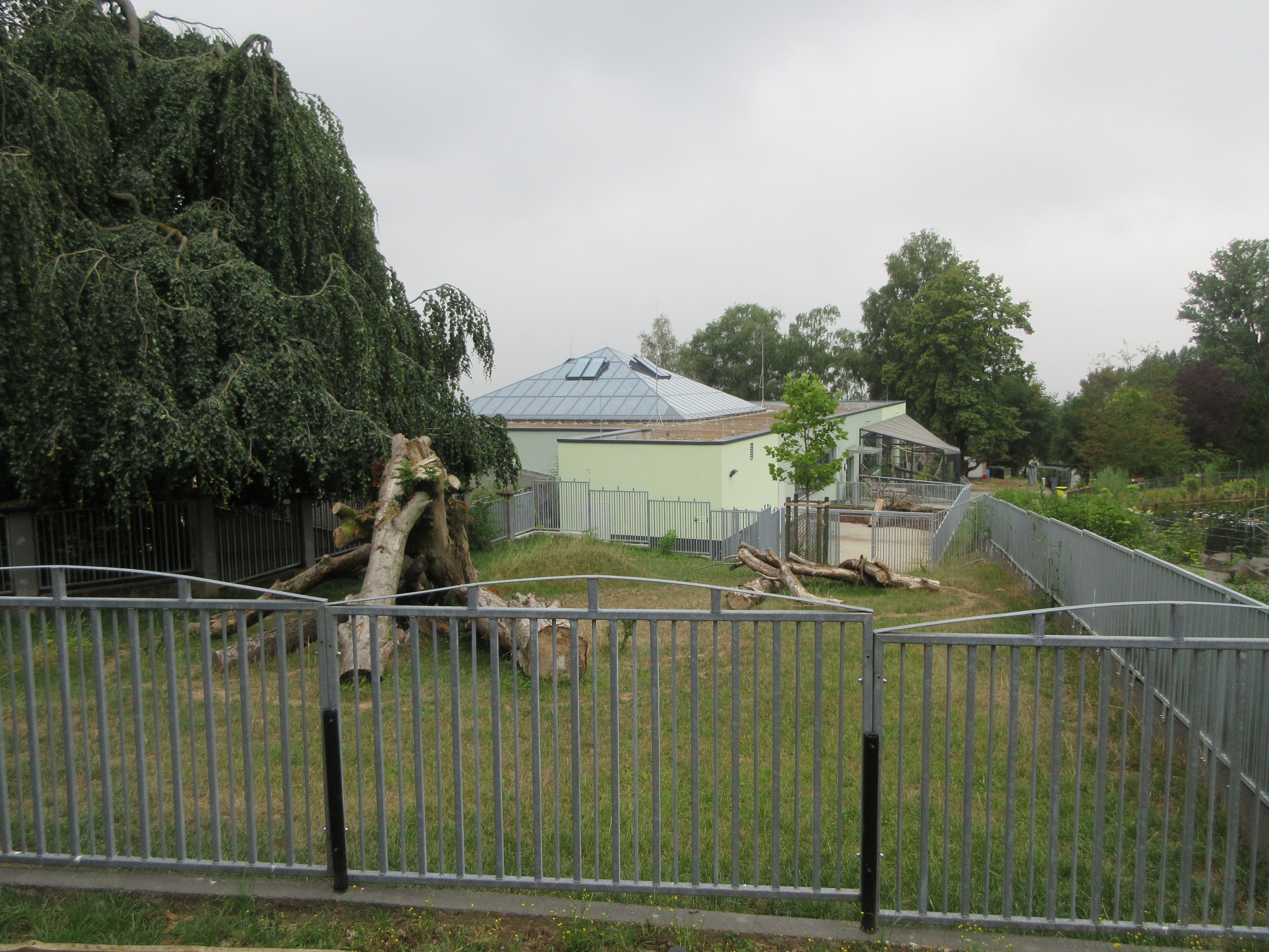 South America House - Lowland Tapir/Giant Anteater Exhibit