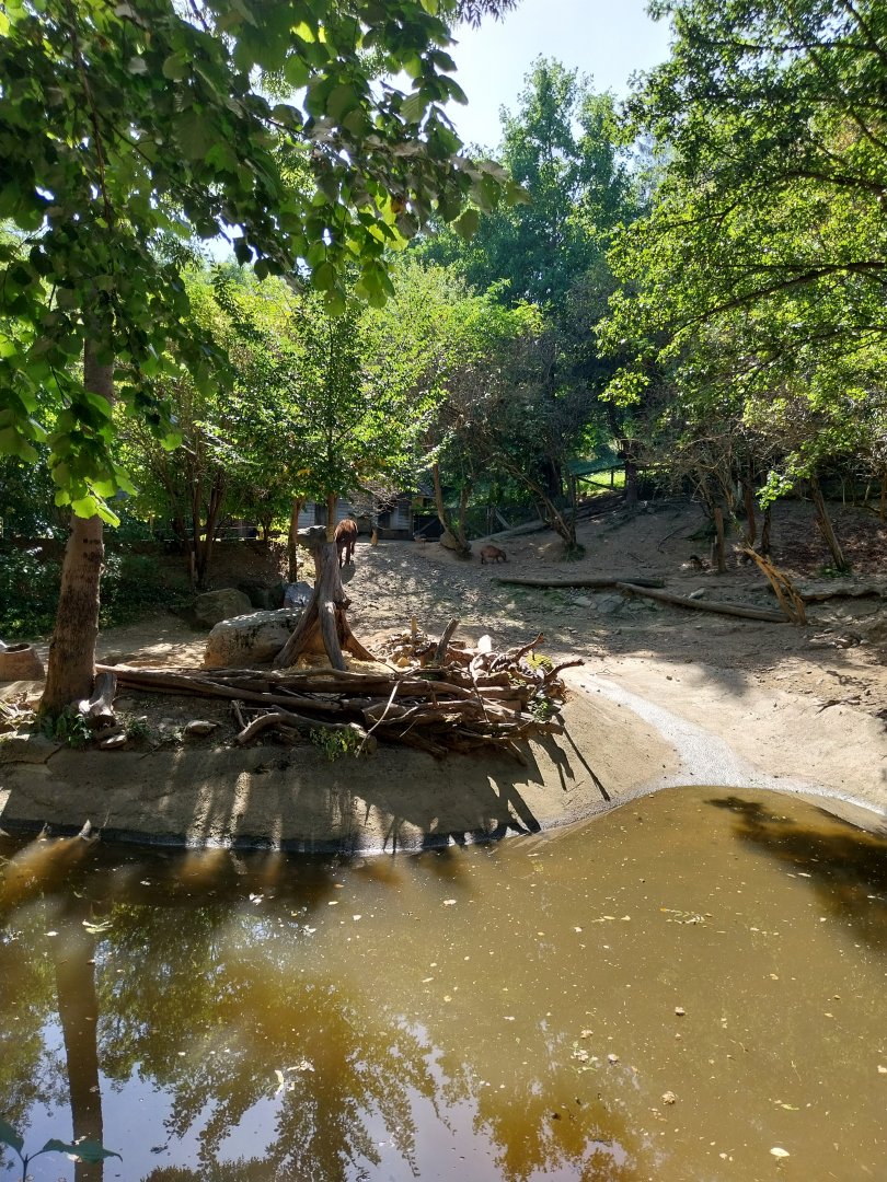 South America House - Mixed species enclosure