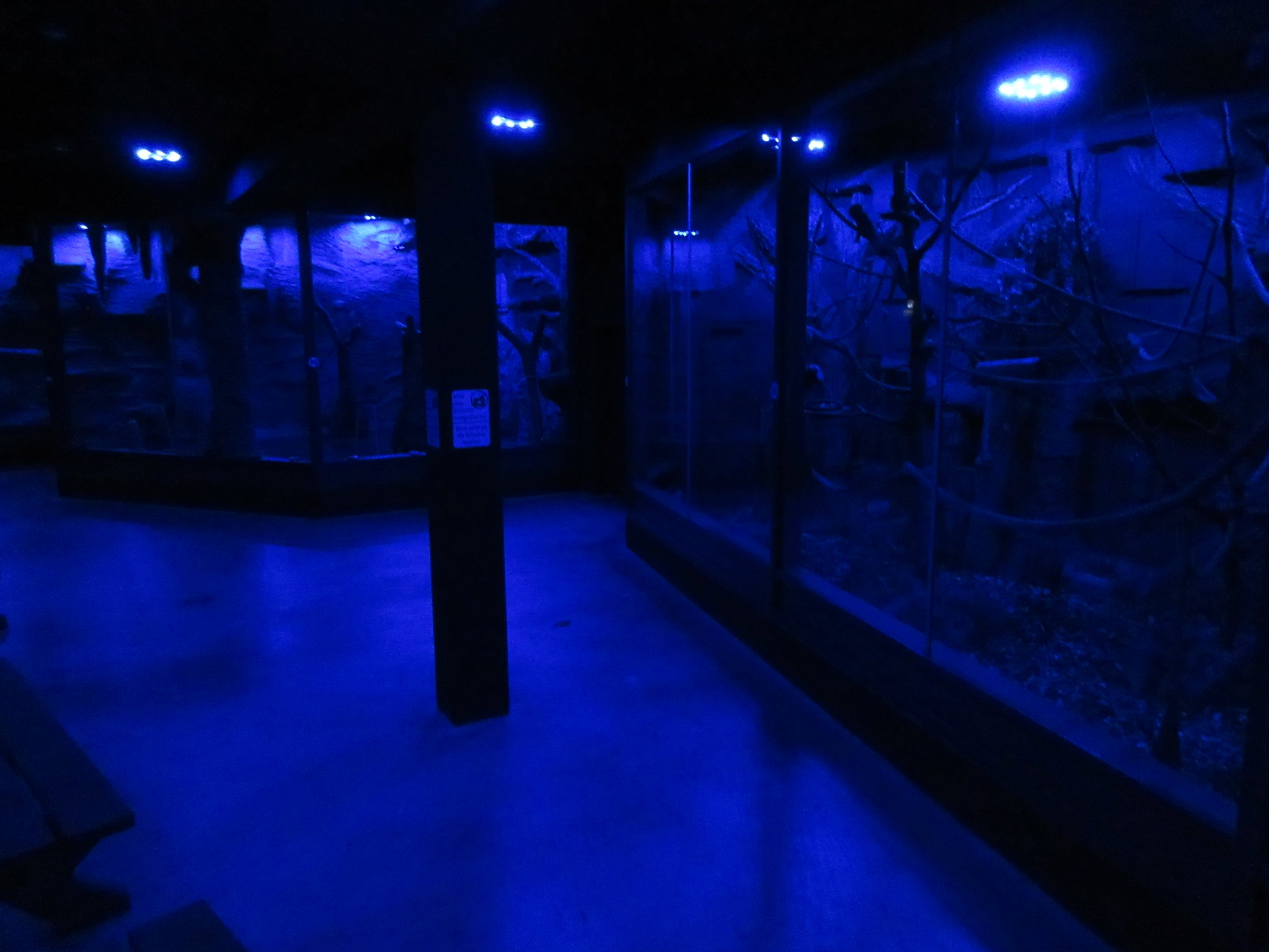 South America House (New in 2018)