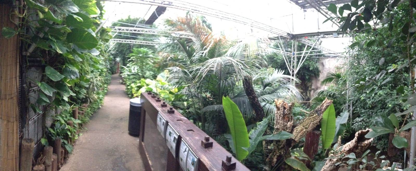 South America House Panorama at Tropical World - 02/10/2013