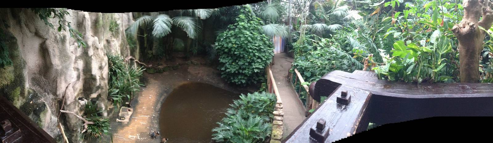 South America House Panorama at Tropical World - 02/10/2013