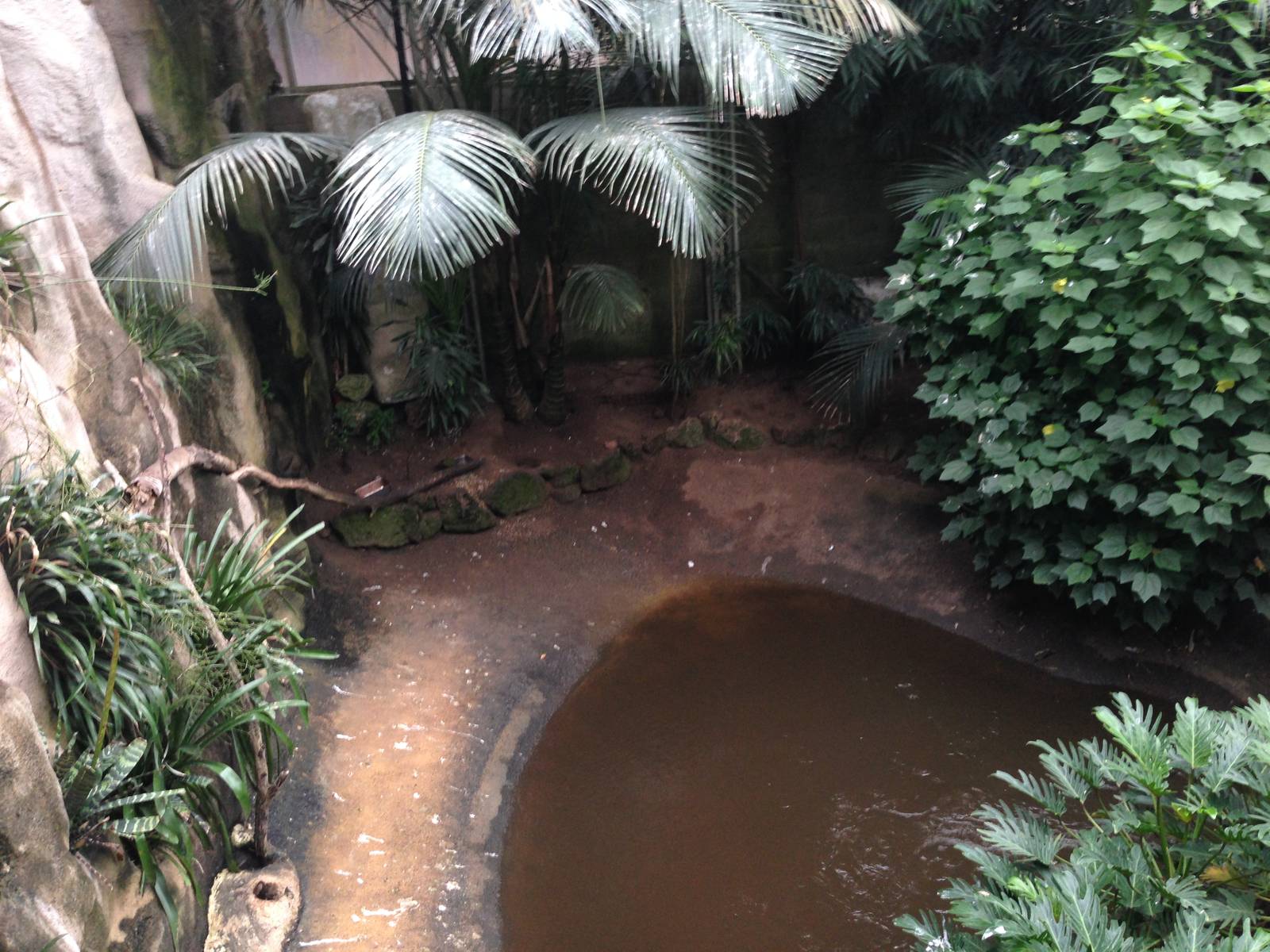 South America House Pond at Tropical World - 02/10/2013