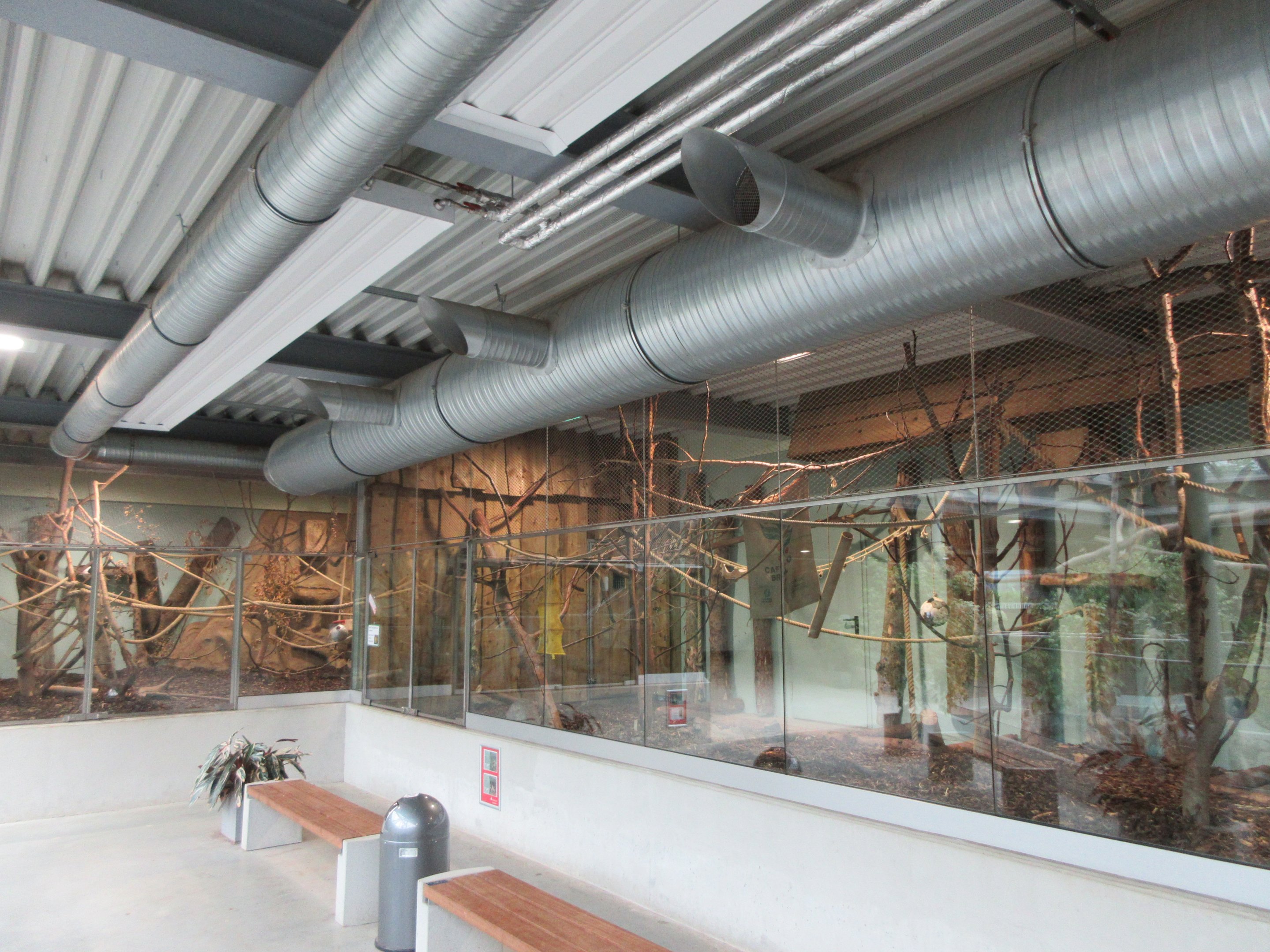 South America House - Primate Exhibits