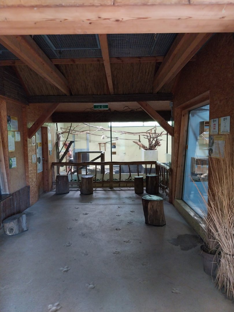 South America House - Public area