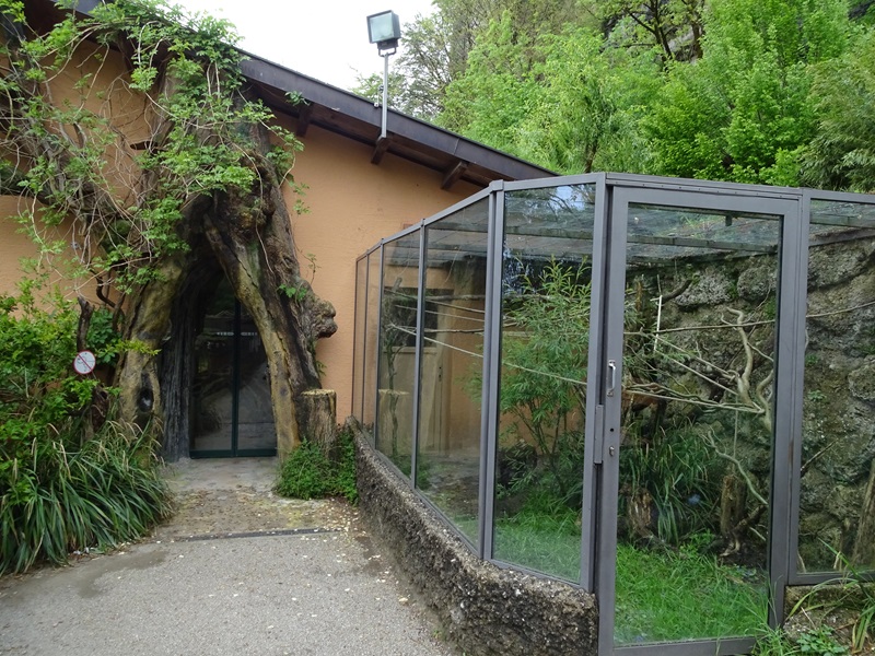 South America House: pygmy marmoset outdoor enclosure