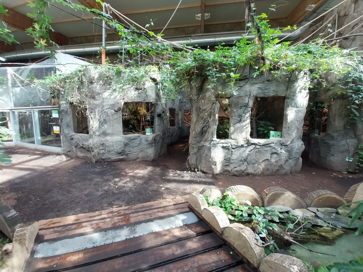 South America House - Reptile section