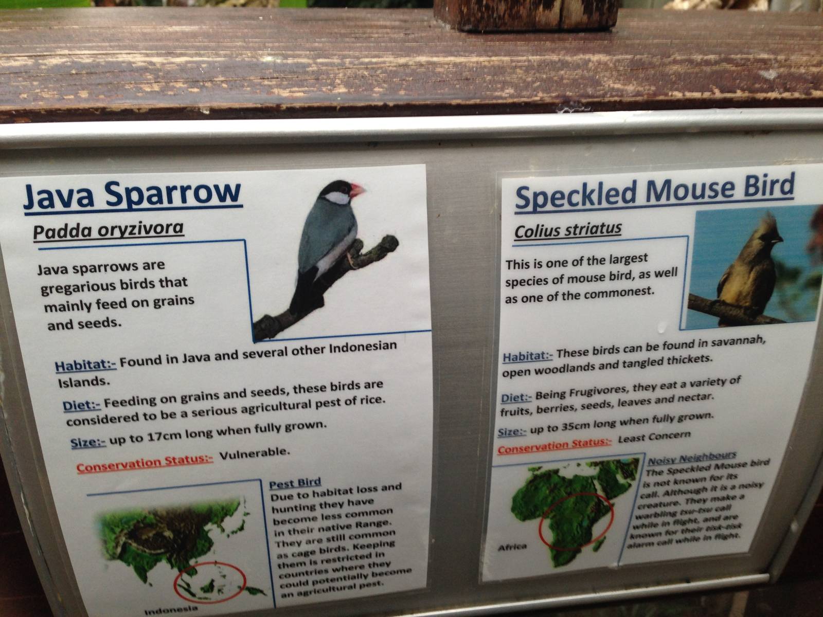 South America House Signage at Tropical World - 02/10/2013