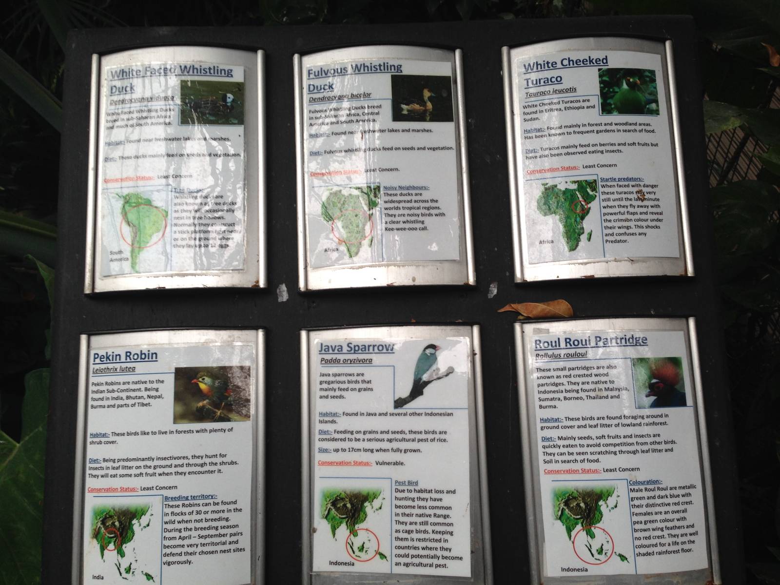 South America House Signage at Tropical World - 02/10/2013