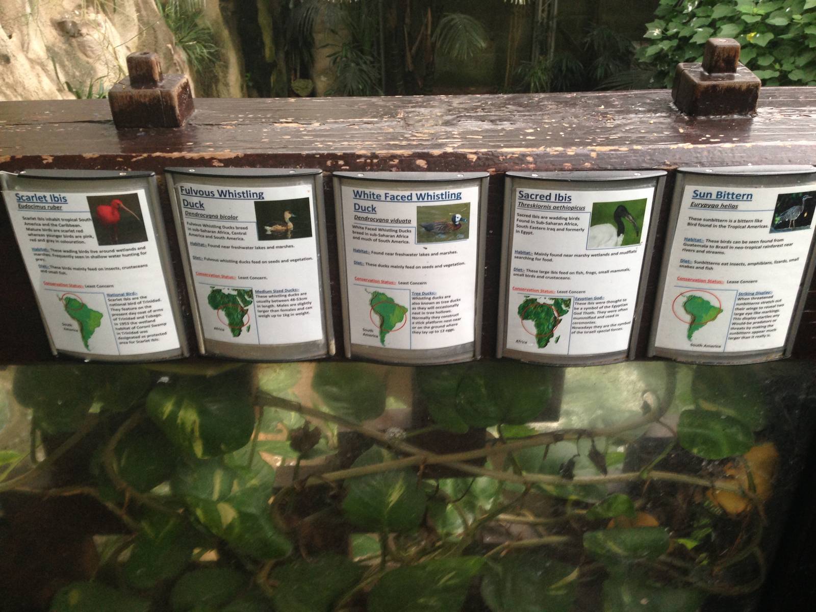 South America House Signage at Tropical World - 02/10/2013