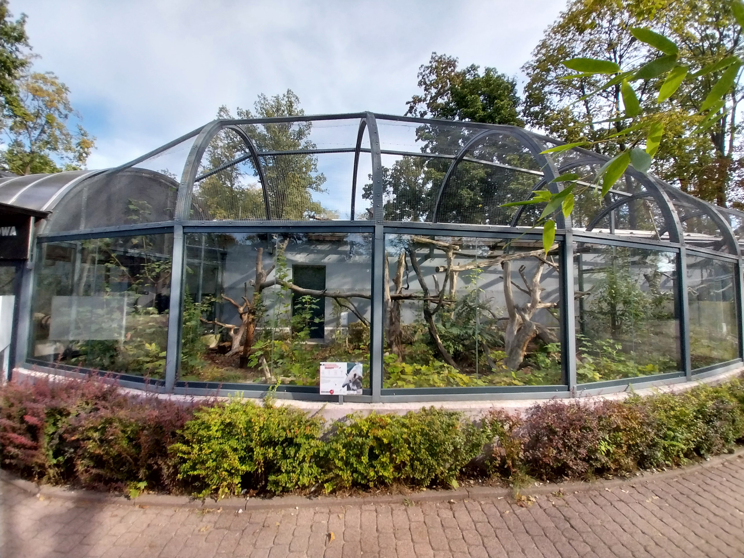 South-America House - Southern Tamandua (Tamandua tetradactyla)