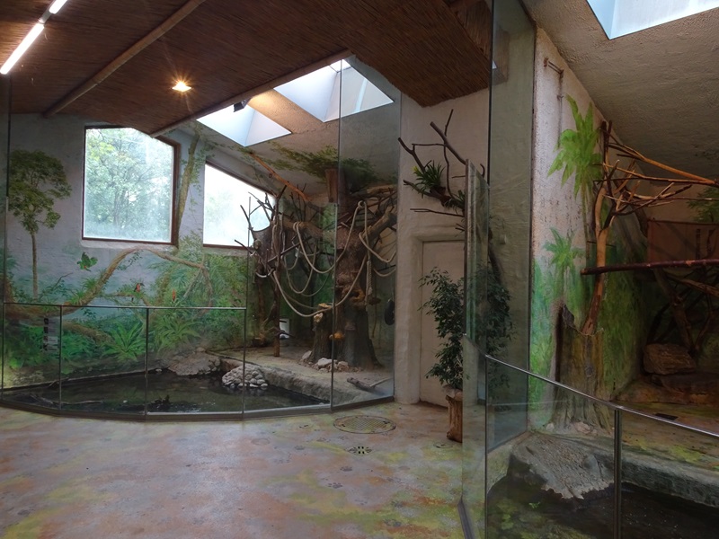 South-America House: Squirrel monkey indoor enclosure