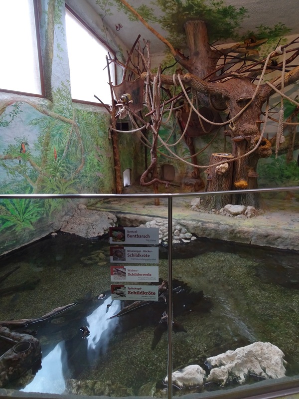 South-America House: Squirrel monkey indoor enclosure