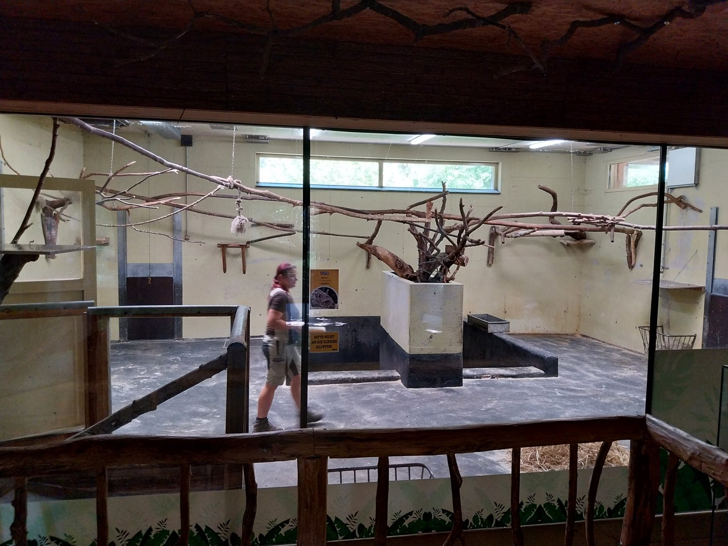 South America House - Tapir stable