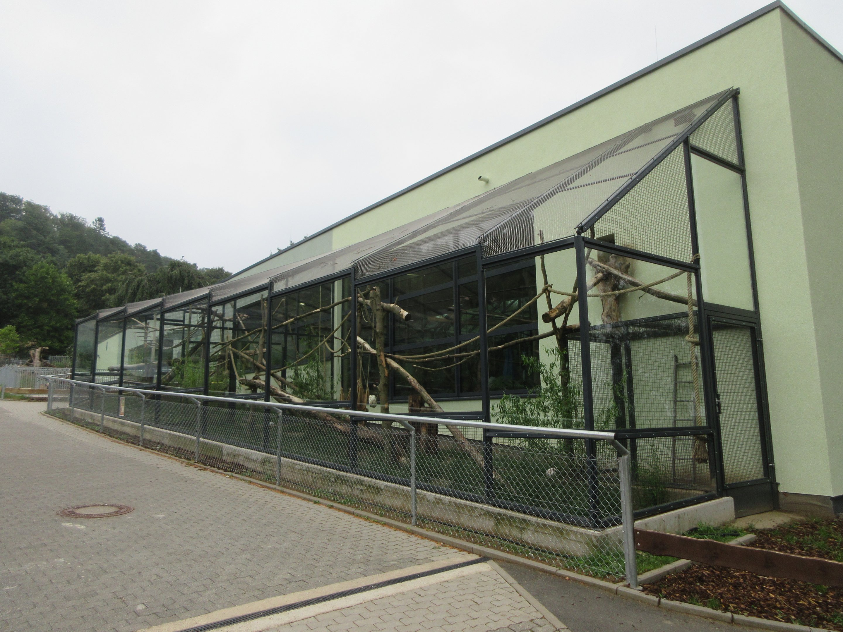 South America House - Tayra Exhibit