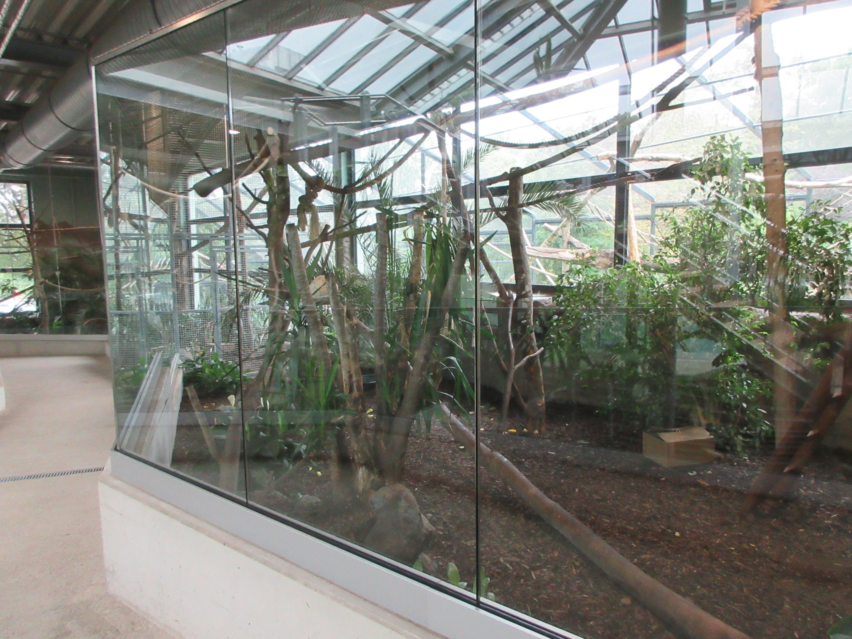 South America House - Tayra Indoor Exhibit